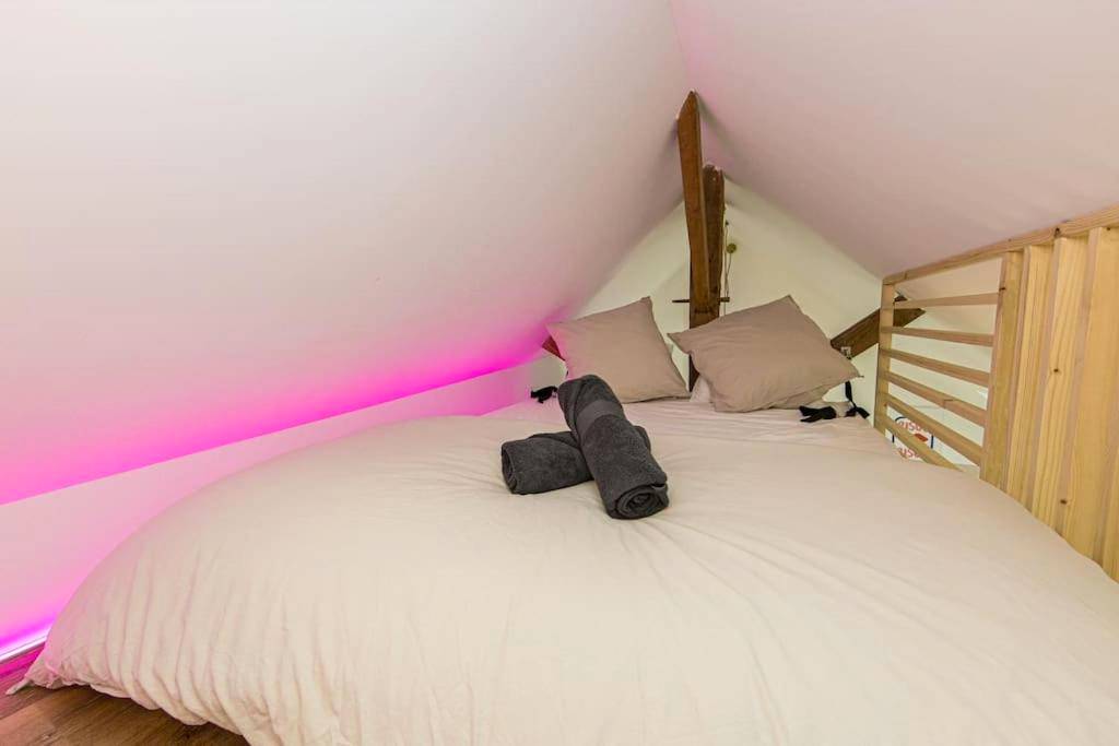 Photo du logement - La Breizh moi Balnéo Love Room - Josselin