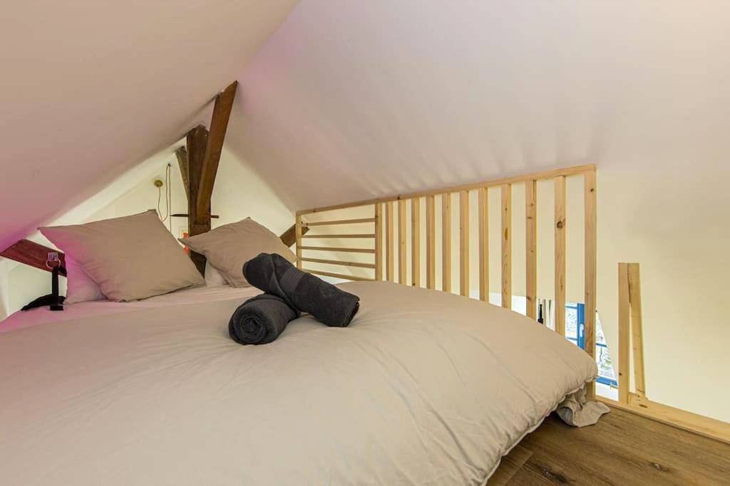 Photo du logement - La Breizh moi Balnéo Love Room - Josselin