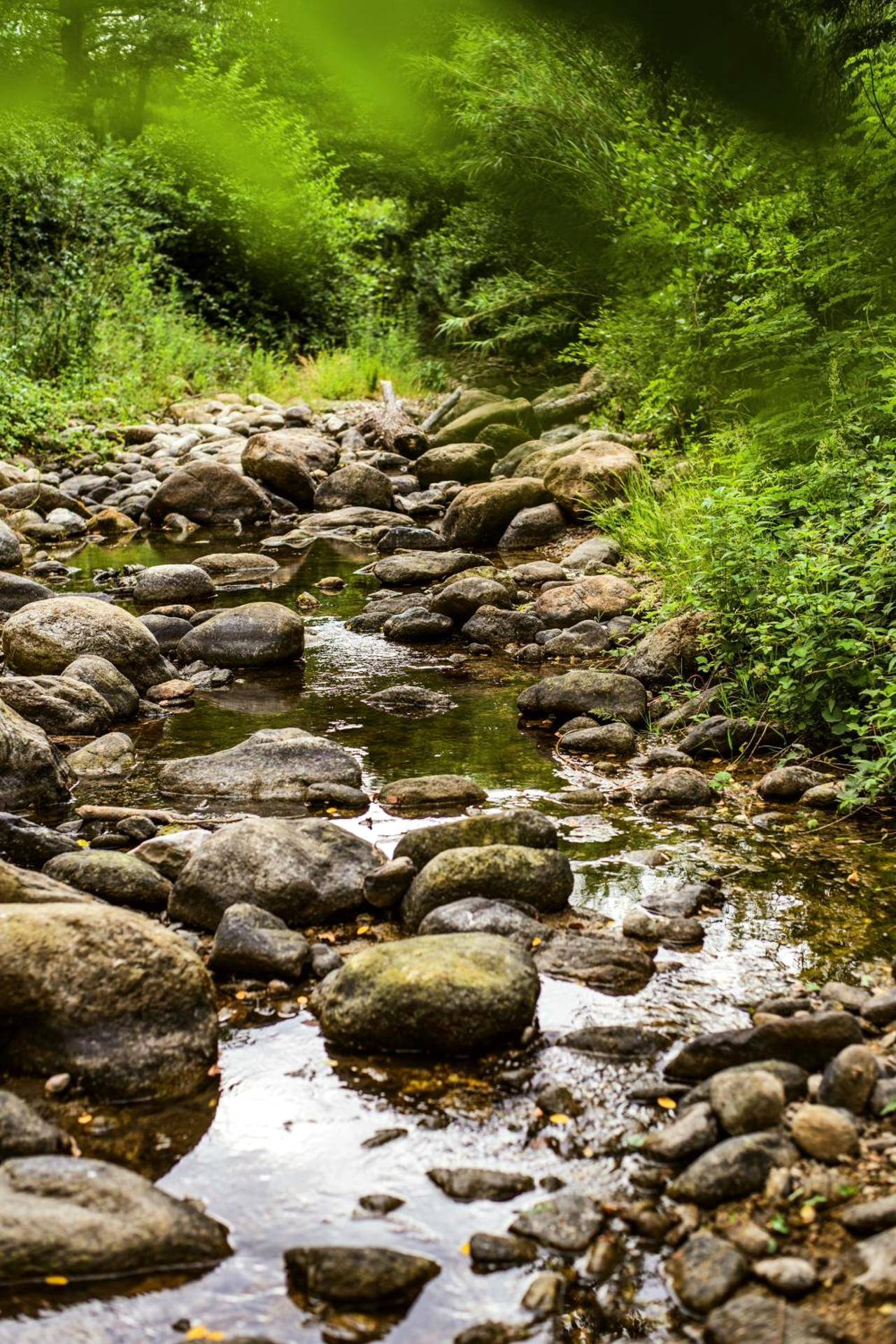 Photo du logement - Suite BULLE D'AMOUR Balnèo Spa & Terrasse à 5 min des plages
