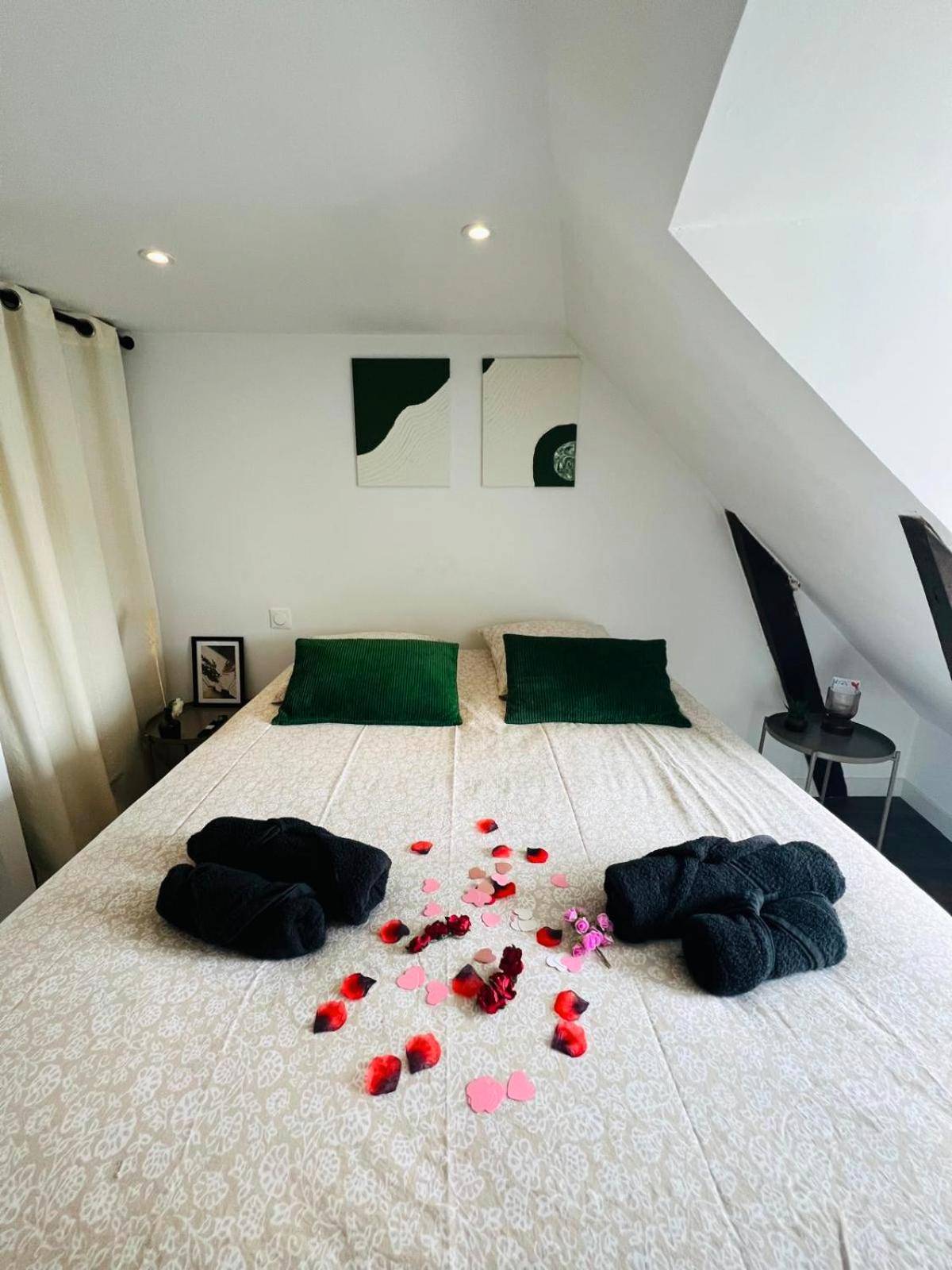 Vue du logement - Bulle de douceur en hypercentre