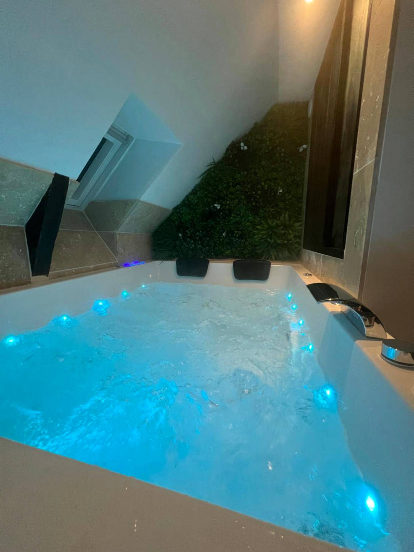 Vue du logement - Bulle de douceur en hypercentre