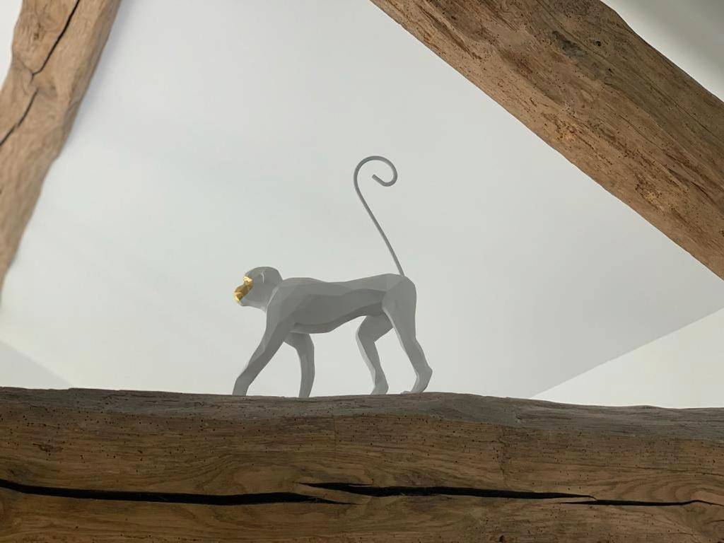 Photo du logement - La bulle suspendue