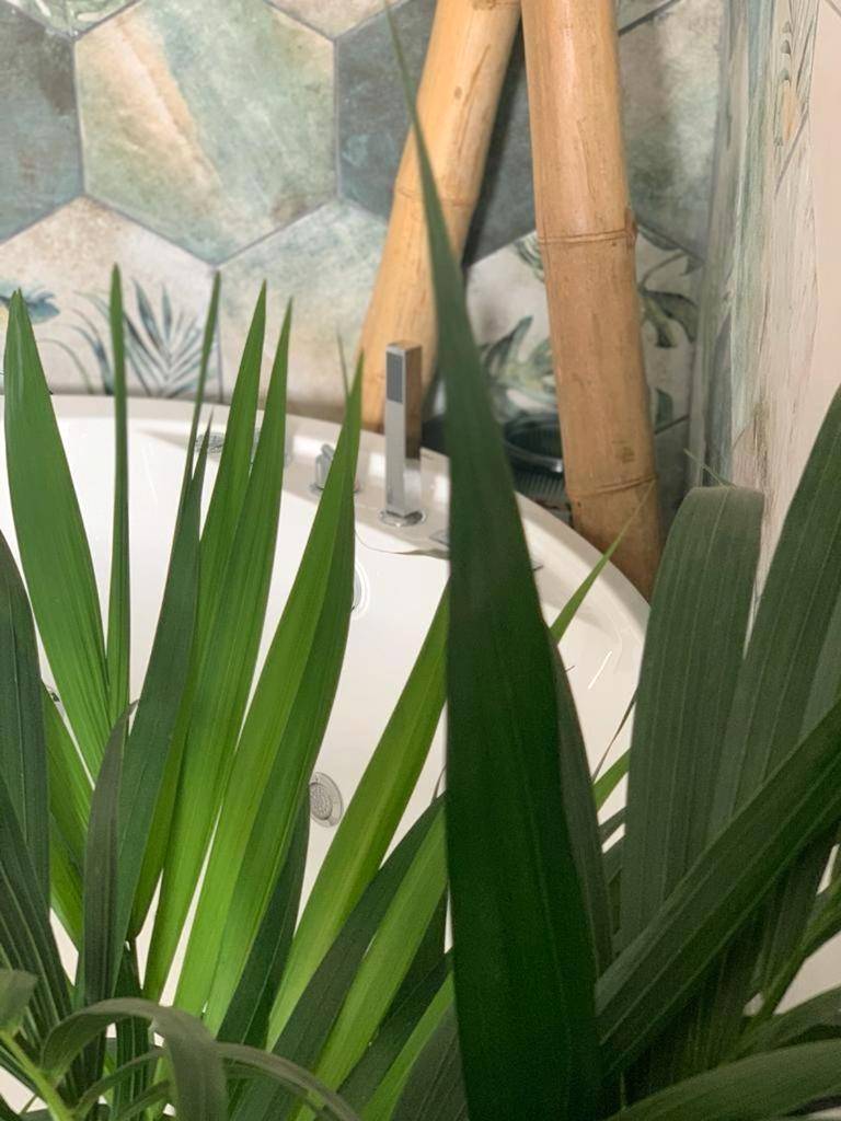 Photo du logement - La bulle suspendue - Bassevelle