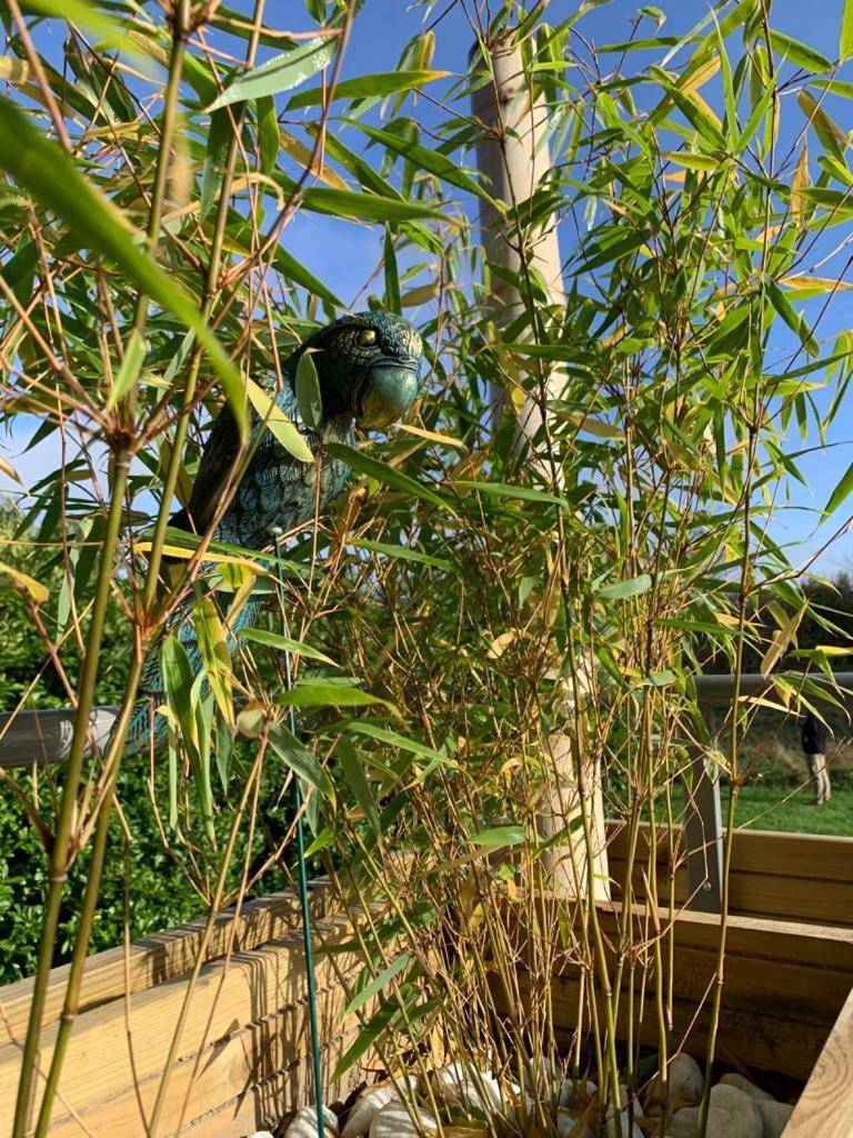 Photo du logement - La bulle suspendue