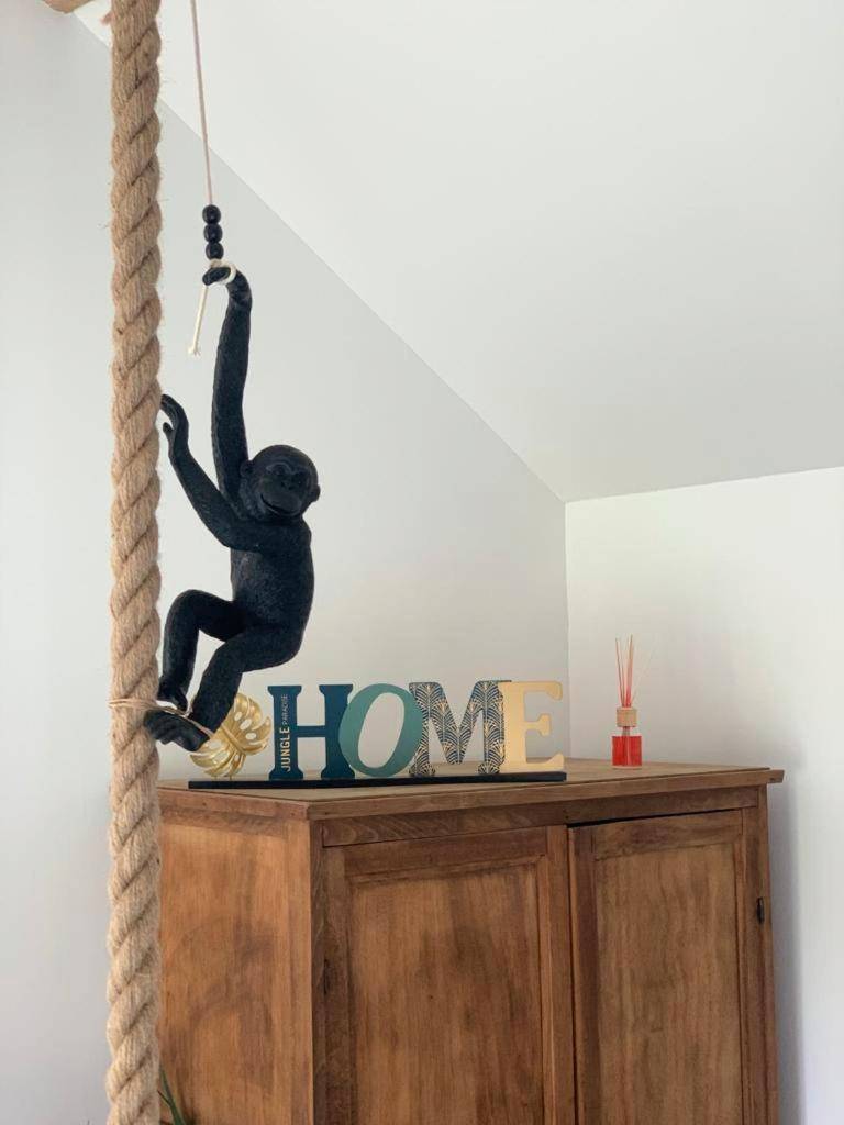 Photo du logement - La bulle suspendue