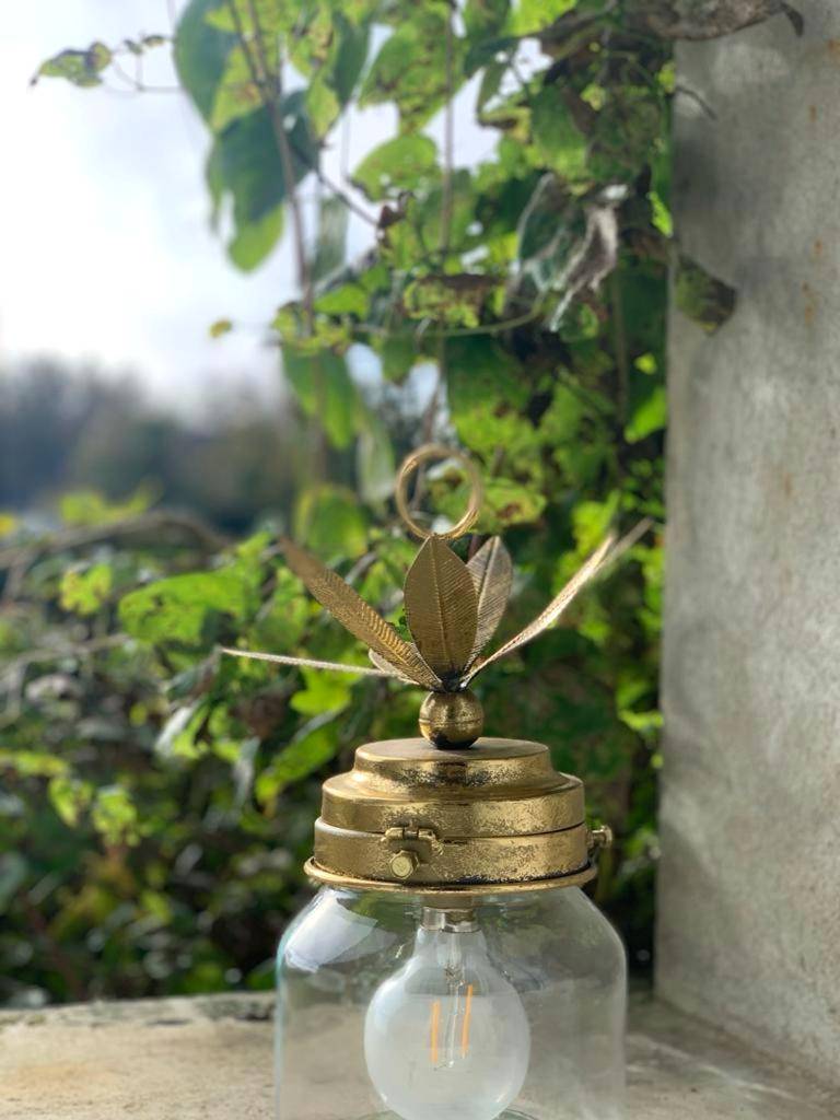 Photo du logement - La bulle suspendue