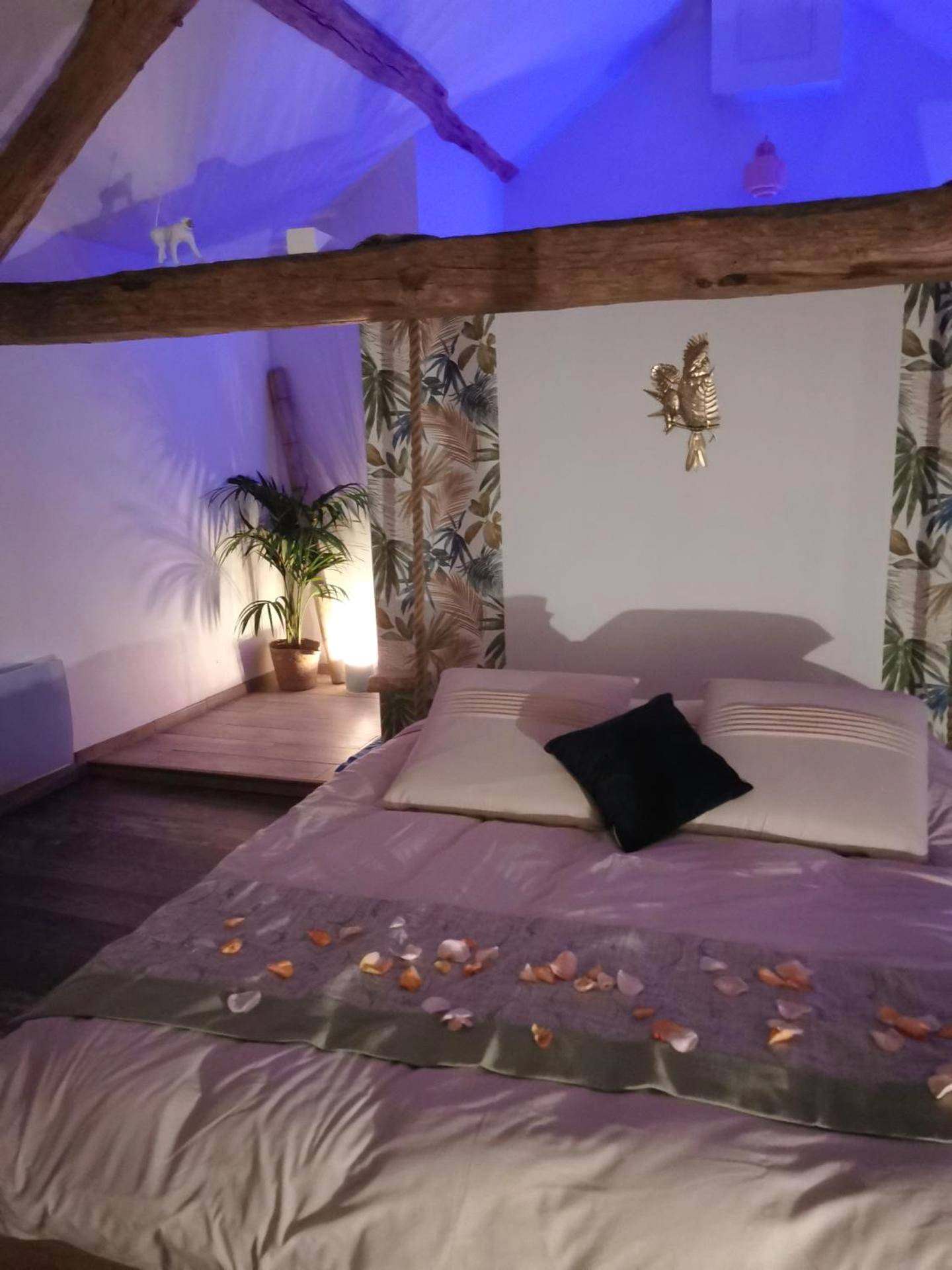 Photo du logement - La bulle suspendue - Bassevelle