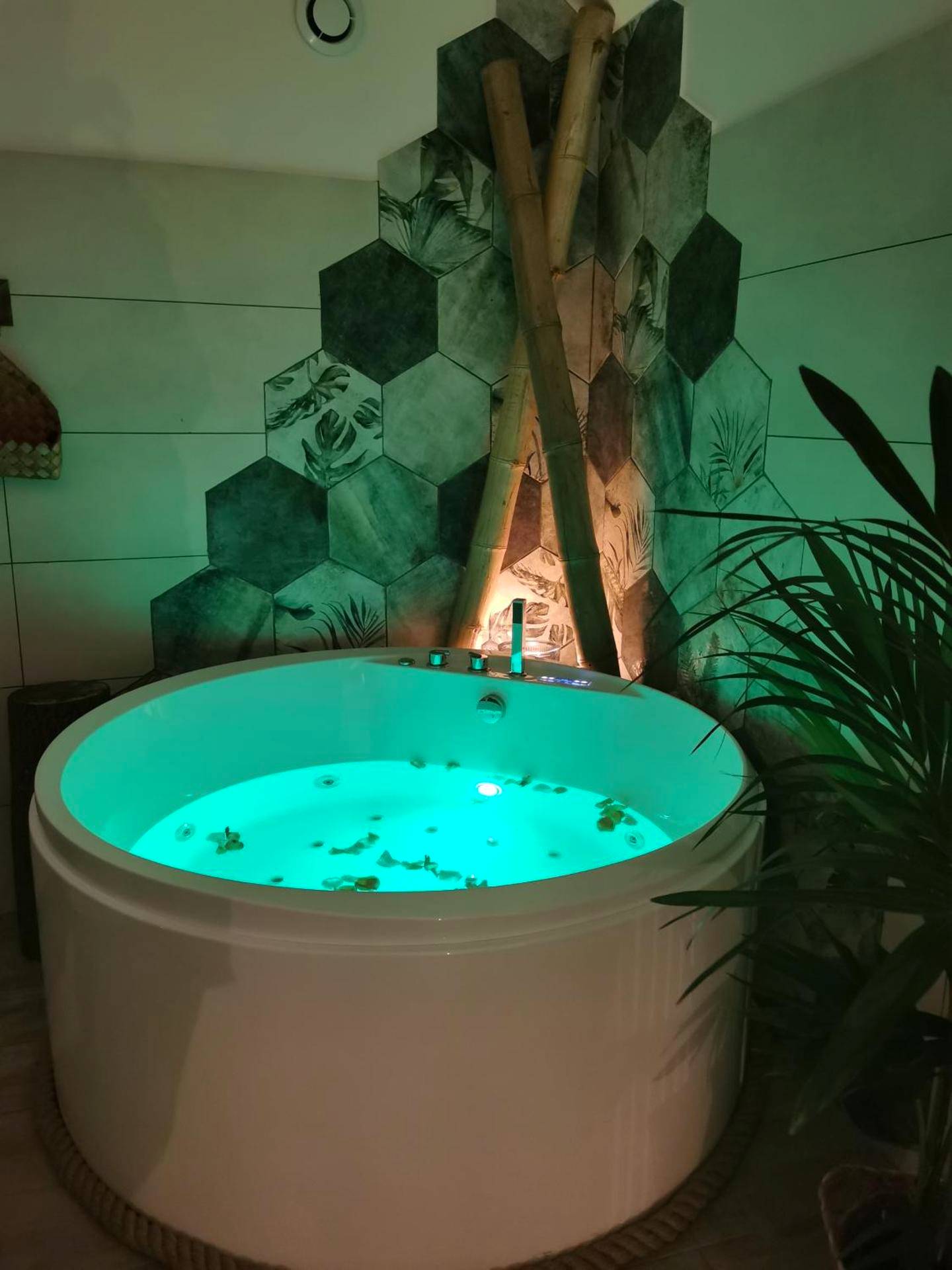 Photo du logement - La bulle suspendue