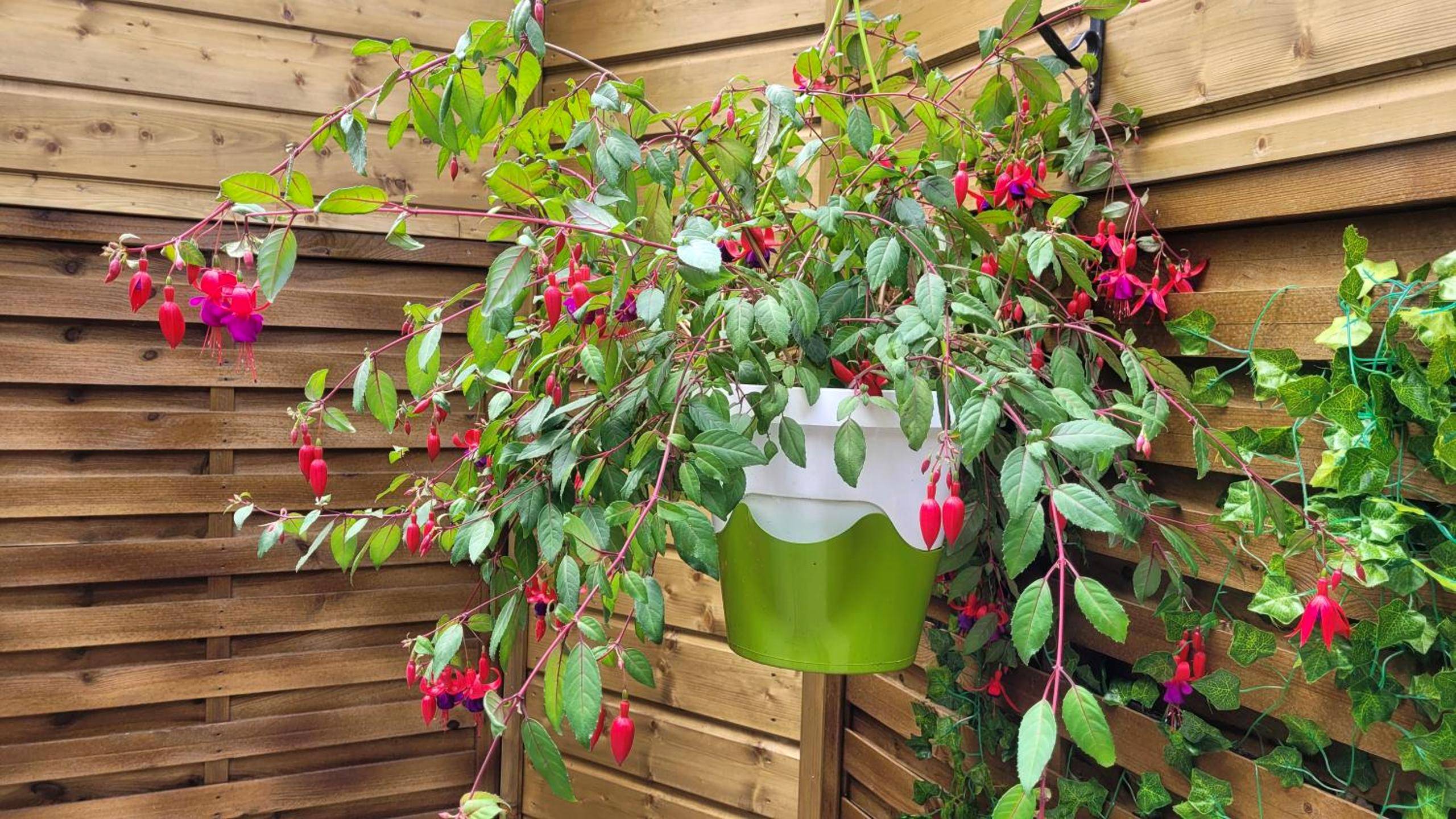 Photo du logement - La bulle romantique