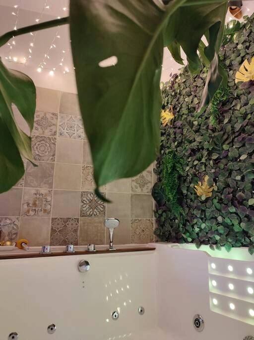 Photo du logement - La Cabana Agréable logement avec Jacuzzi/Balnéo