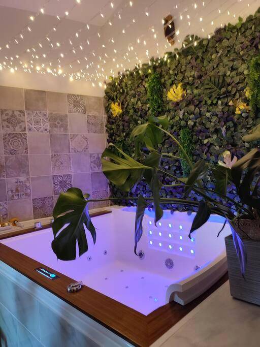 Jacuzzi éclairé en bleu sous un ciel étoilé - La Cabana Agréable logement avec Jacuzzi/Balnéo