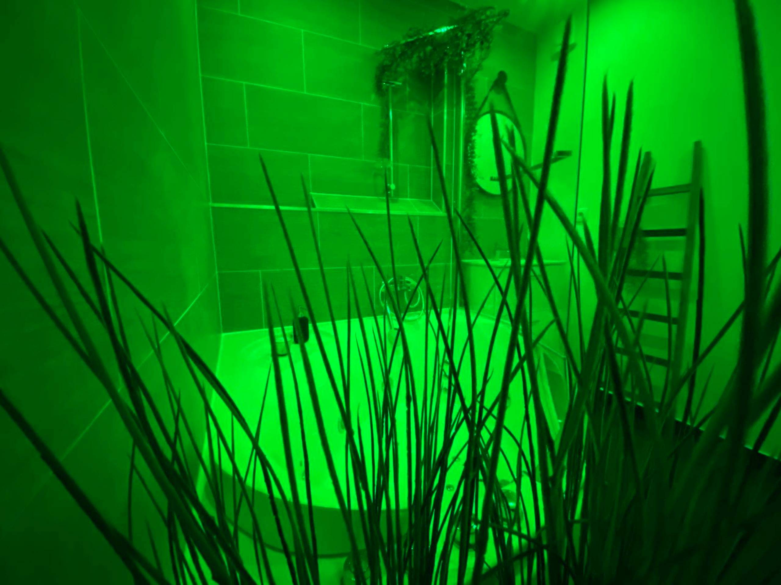 Photo du logement - La cabane voyage