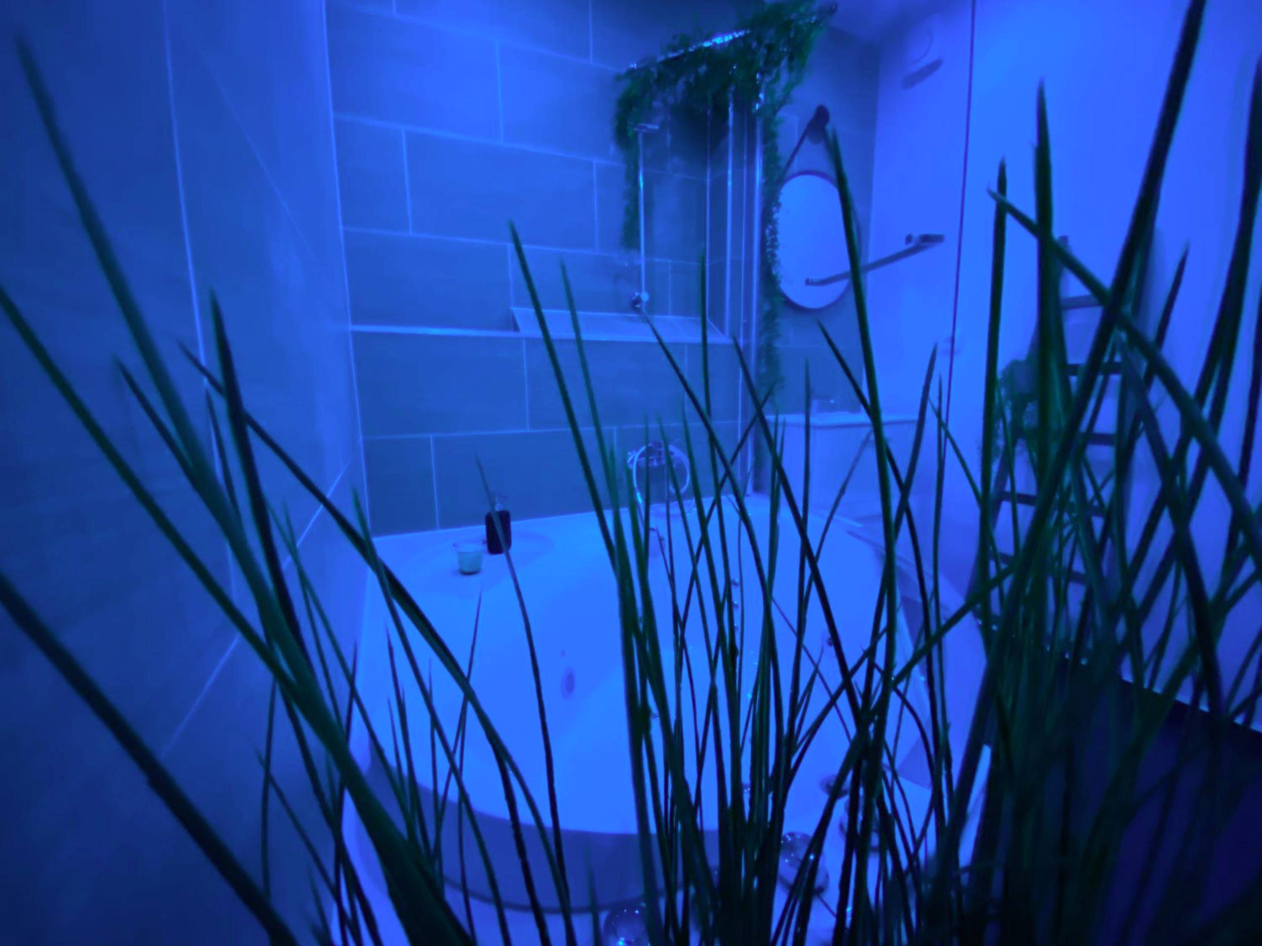 Photo du logement - La cabane voyage - Rouen