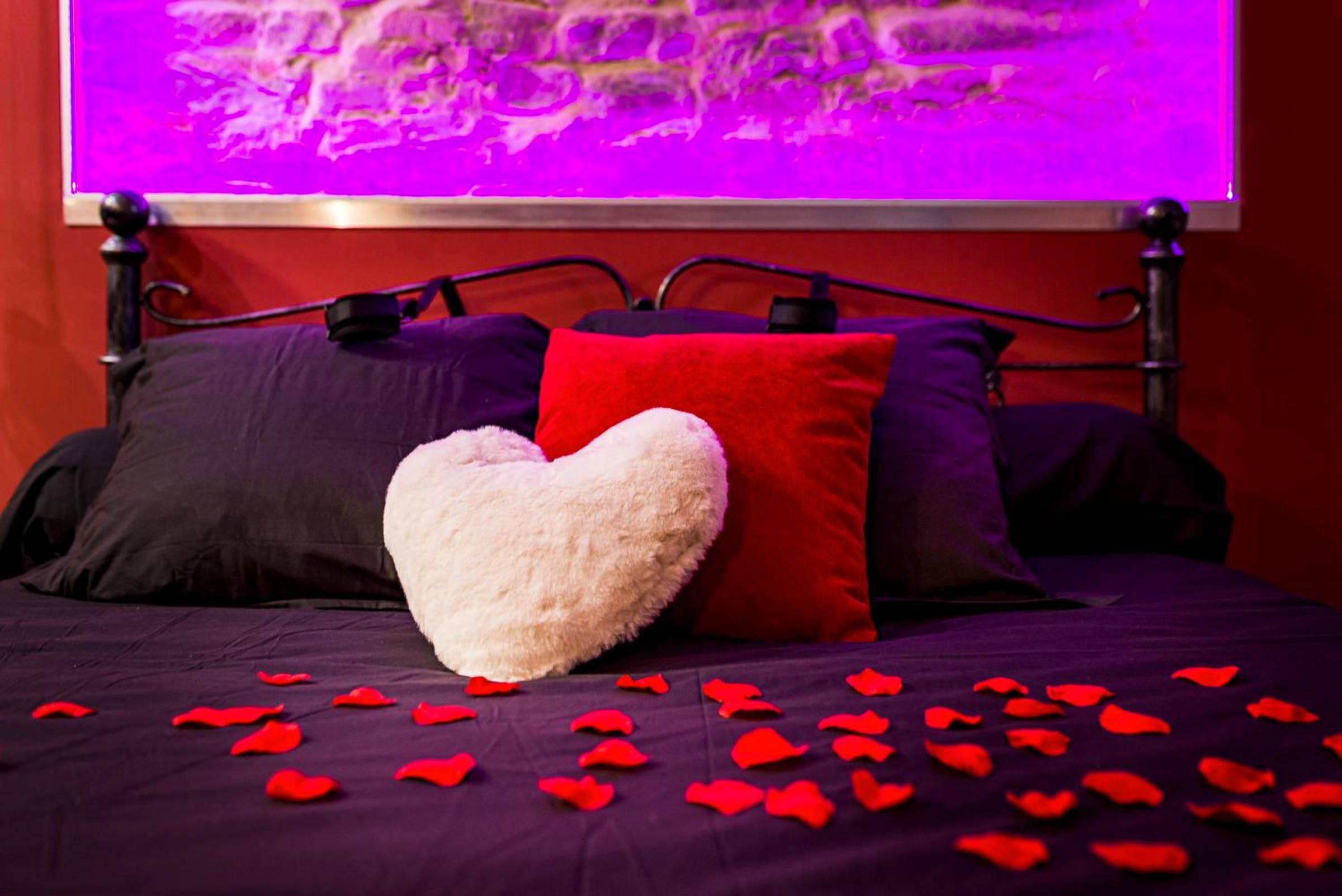 Photo du logement - Cachette Secrète & SPA