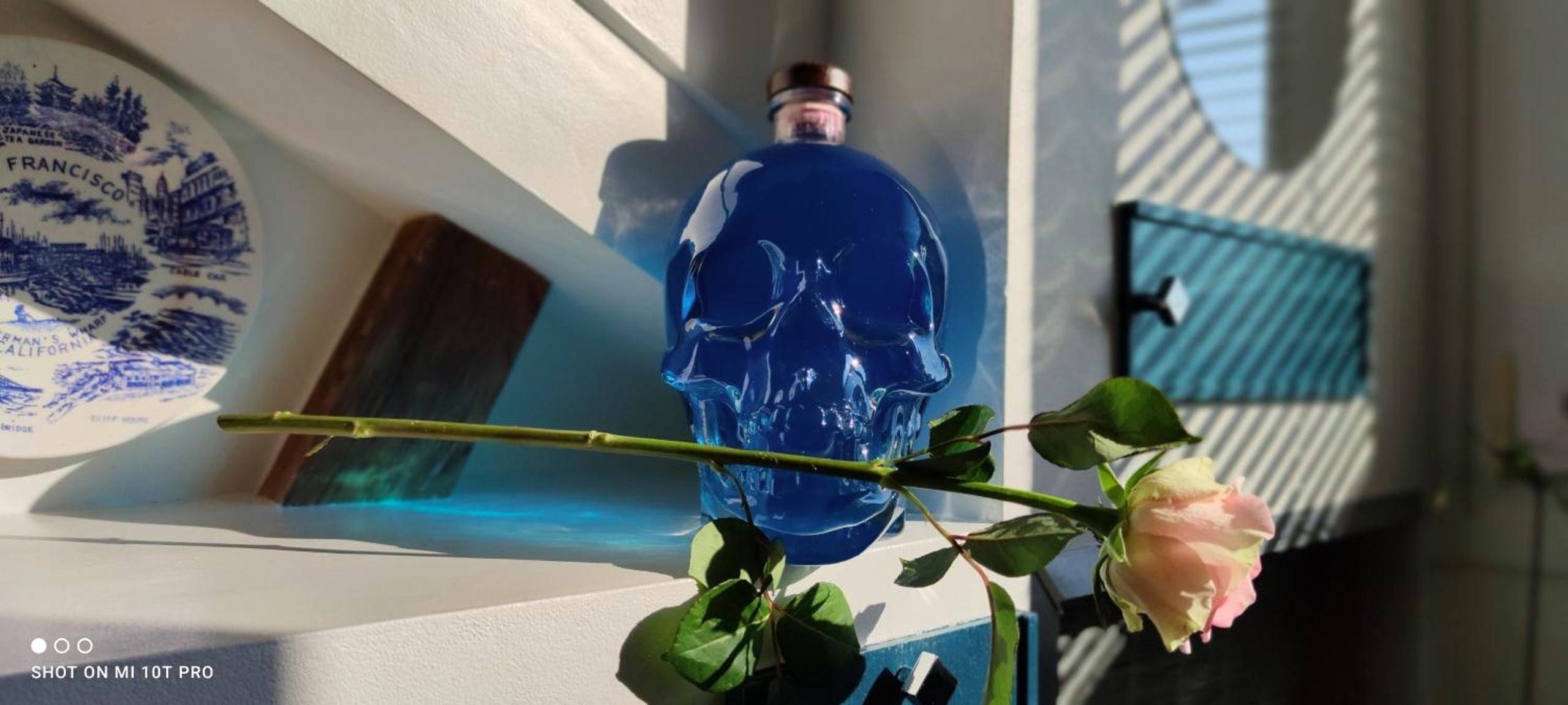 Photo du logement - CANNES TOIT ET MOI