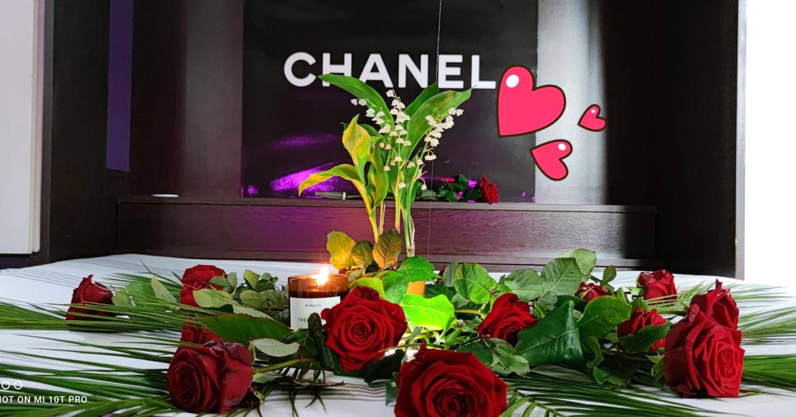 Photo du logement - CANNES TOIT ET MOI