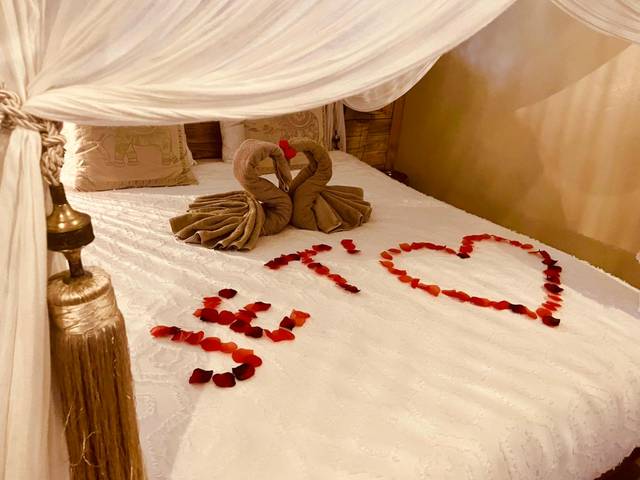 Lit à baldaquin avec cygnes et pétales de rose - Chambre & Spa "La Casa Blue"