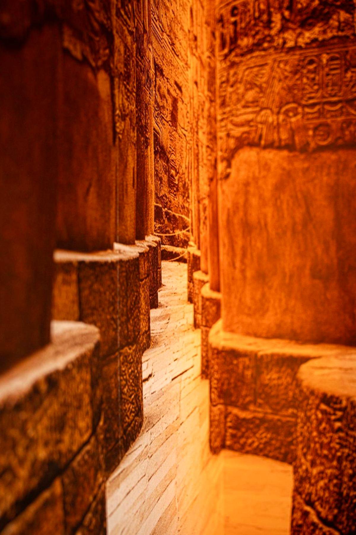 Photo du logement - Casa di Mamma - Trélazé