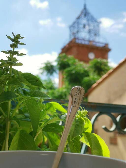 Photo du logement - CASA ROSA, Un petit Cocon Catalan