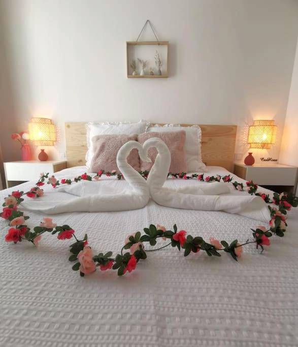 Photo du logement - CASA ROSA, Un petit Cocon Catalan - Ortaffa