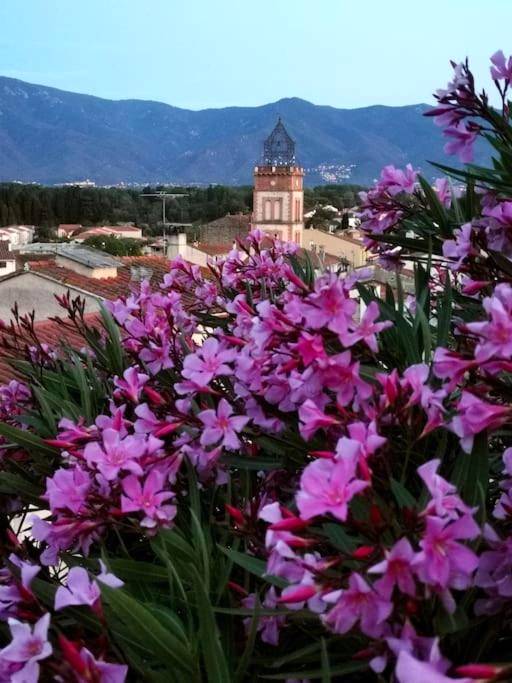 Photo du logement - CASA ROSA, Un petit Cocon Catalan