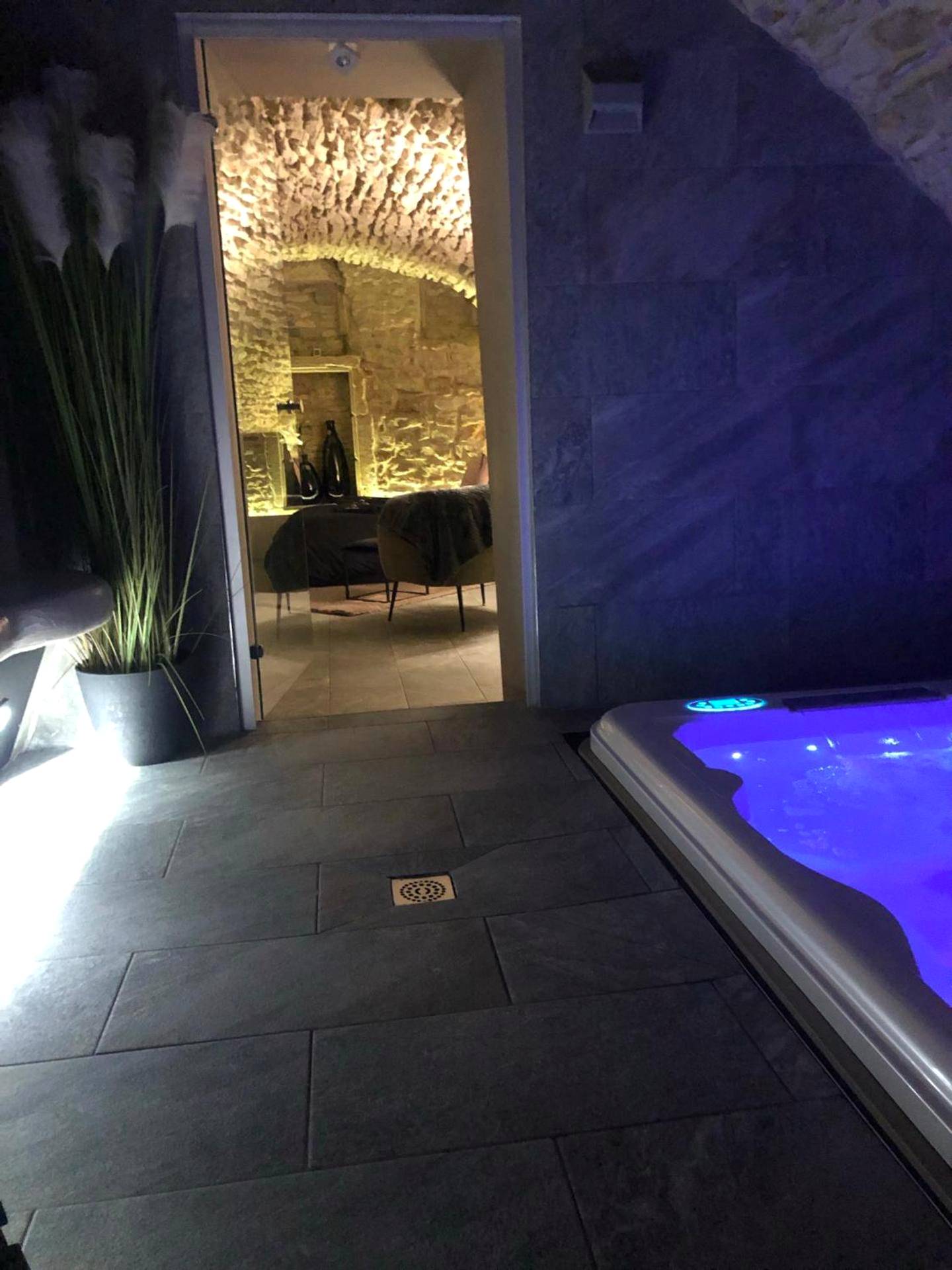Photo du logement - jaccuzi & spa des caves Stanislas