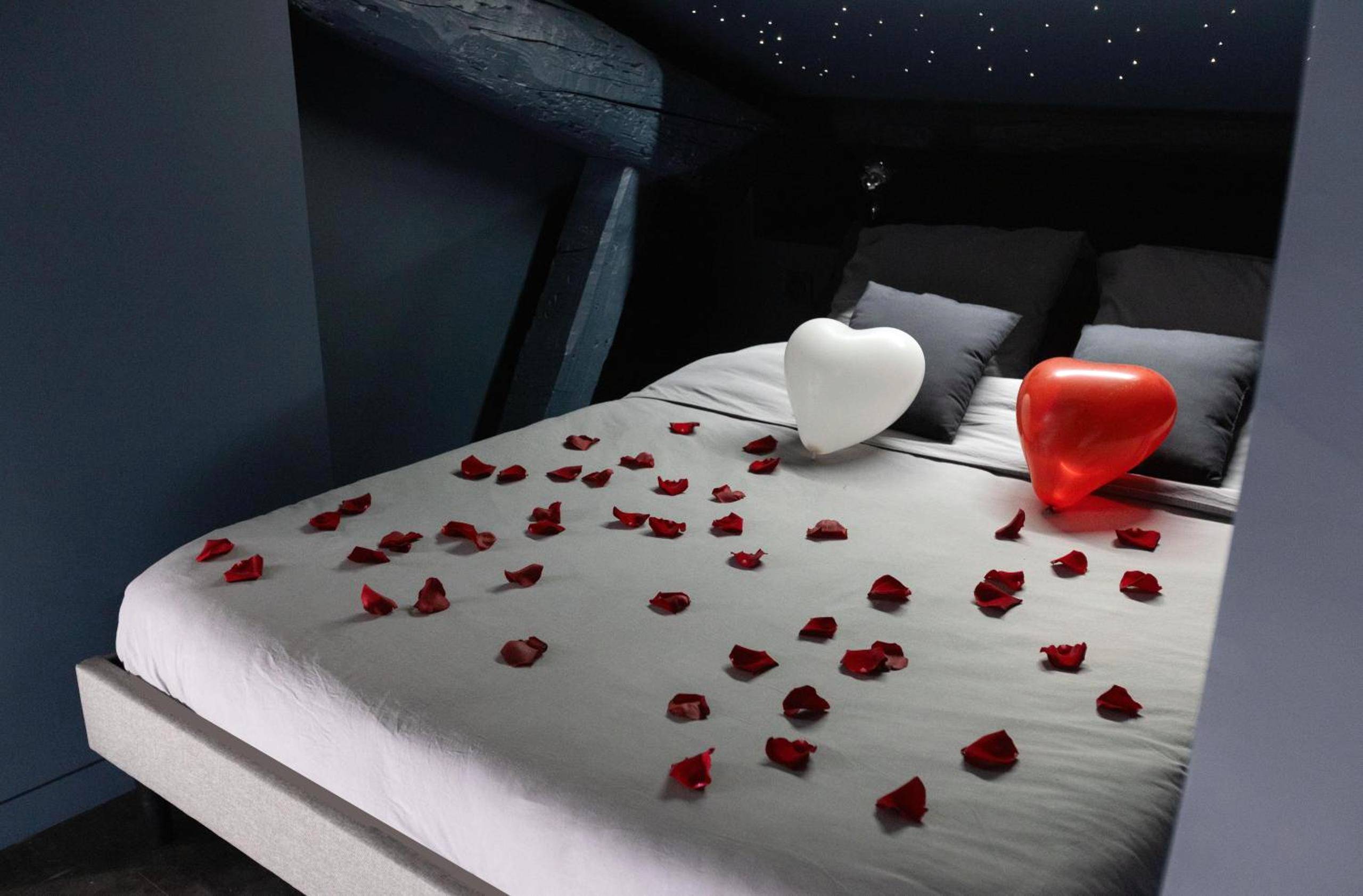 Photo du logement - CEVA Suite Moonlight - Jacuzzi & Cinéma Centre ville - Saint - Étienne