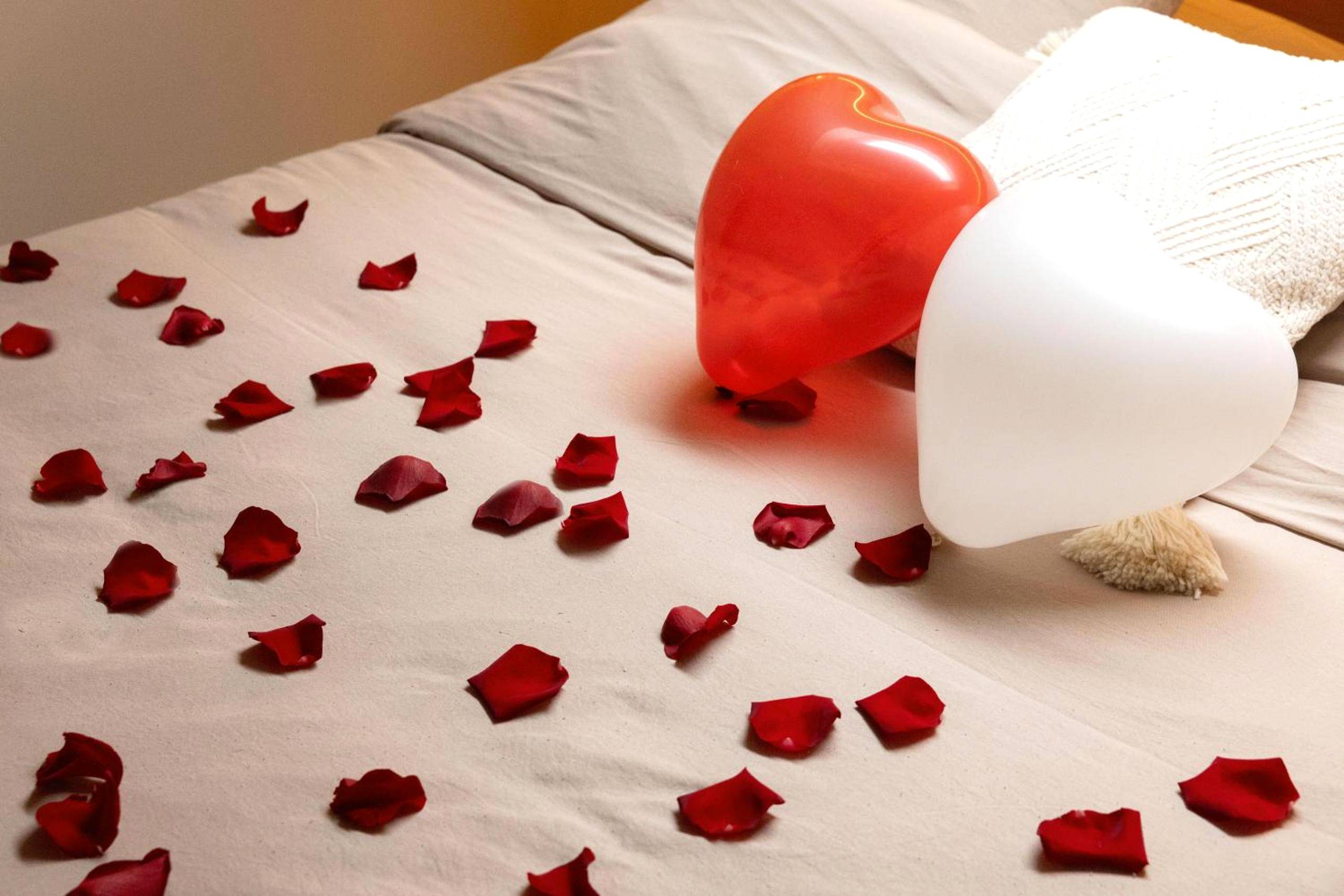 Photo du logement - CEVA Suite Sakura - Jacuzzi & Cinéma Centre ville