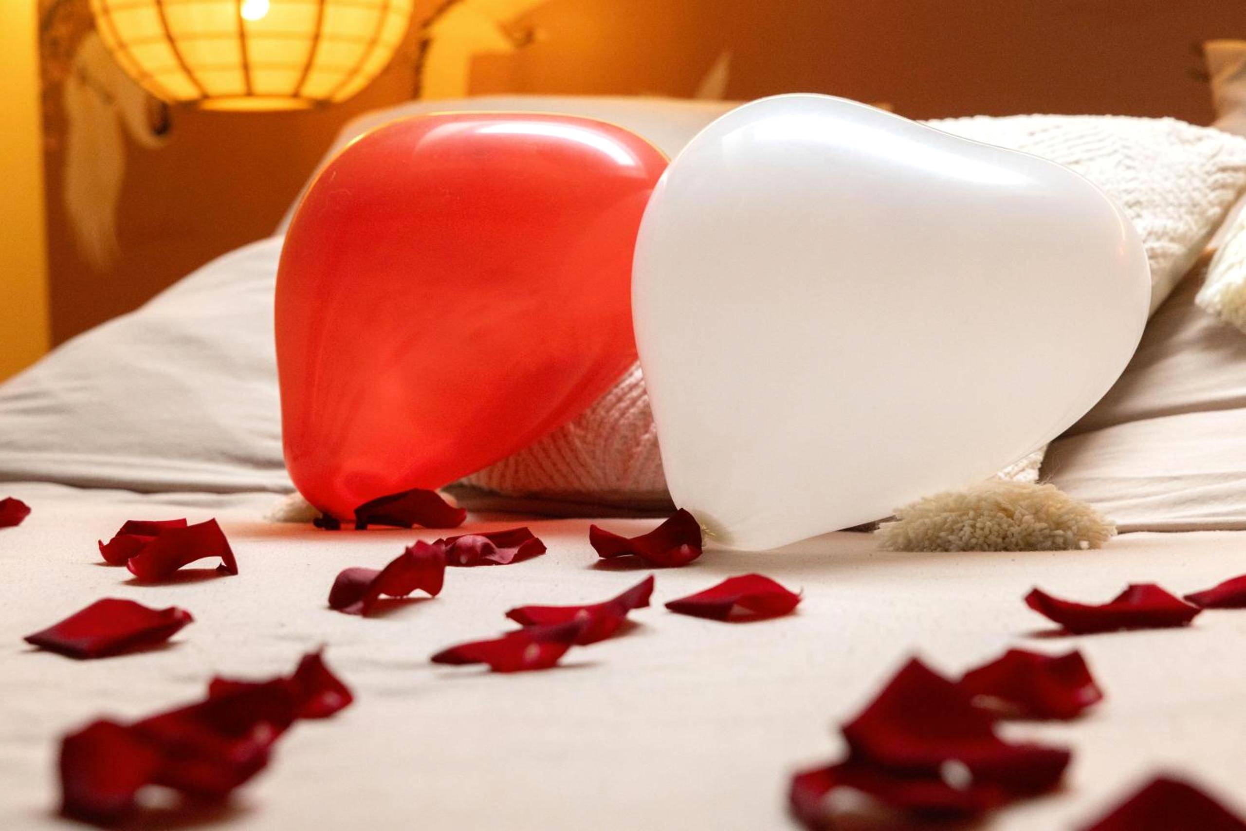 Photo du logement - CEVA Suite Sakura - Jacuzzi & Cinéma Centre ville - Saint - Étienne