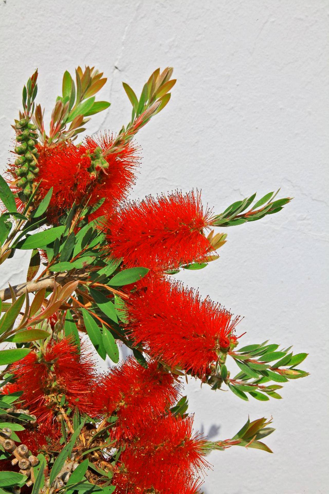 Photo du logement - La Chaize - Villa, Suites & Spa