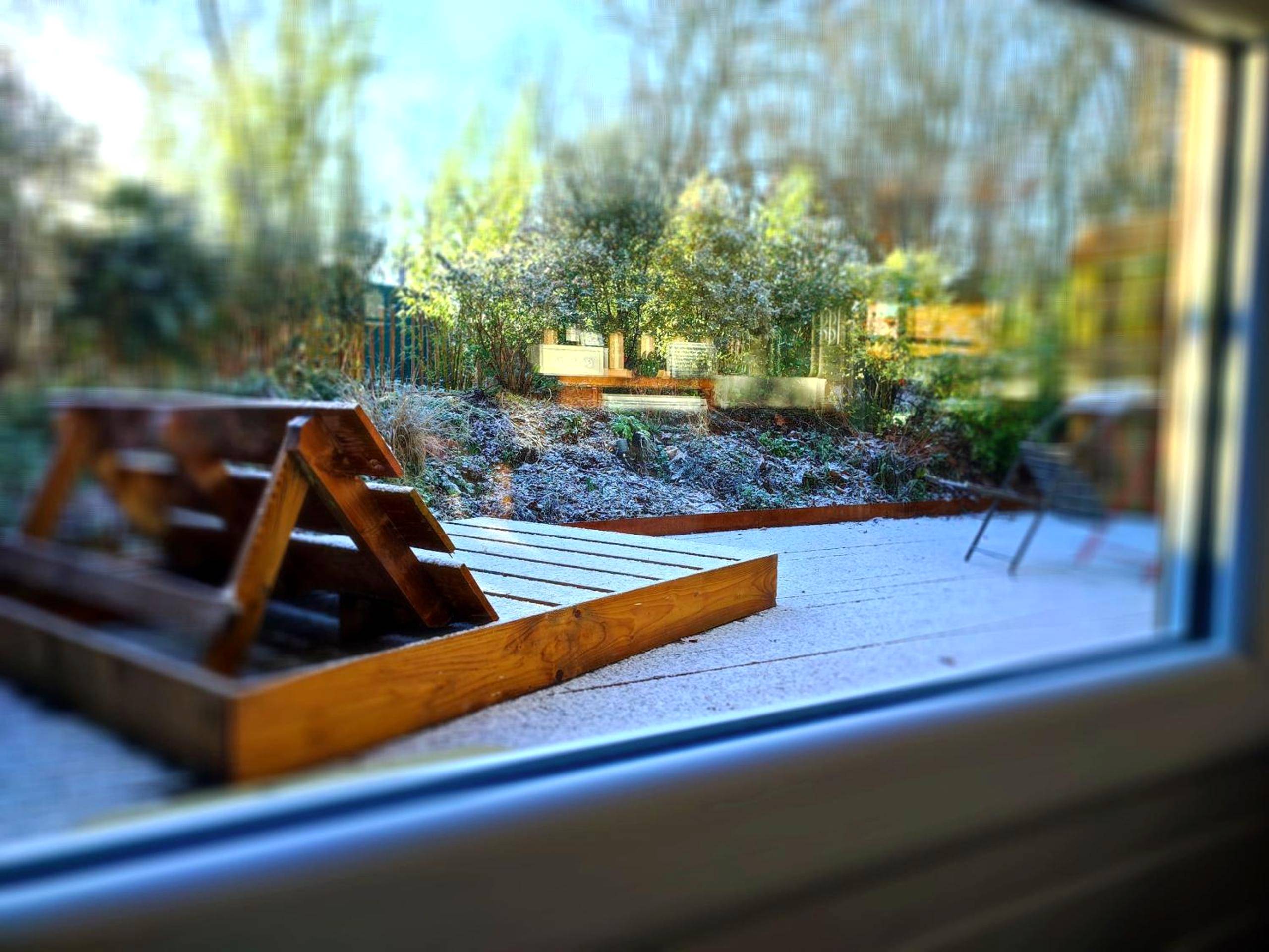 Photo du logement - Chalet Nature & Spa - Amayé - sur - Orne