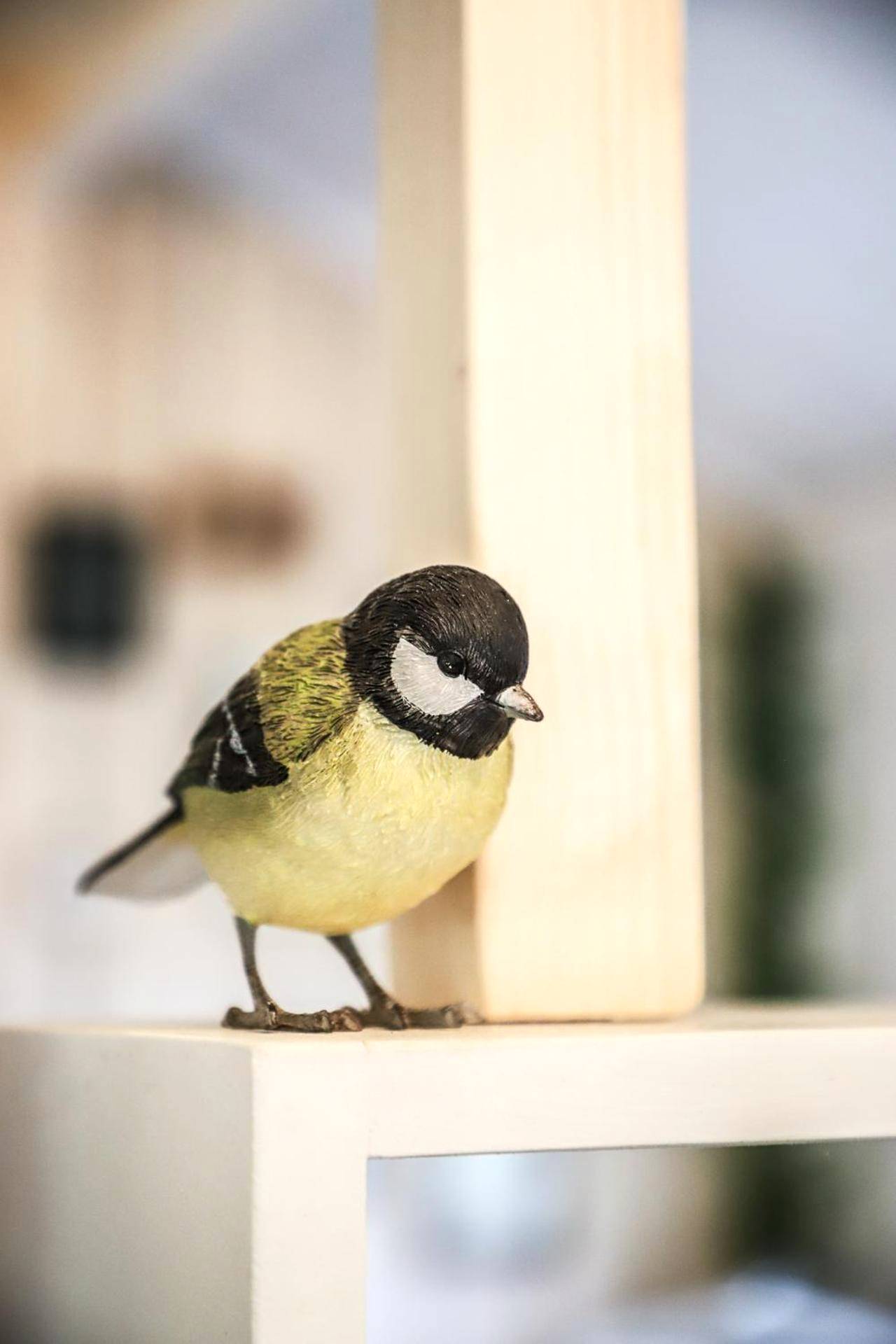 Photo du logement - Chalet Nature & Spa - Amayé - sur - Orne