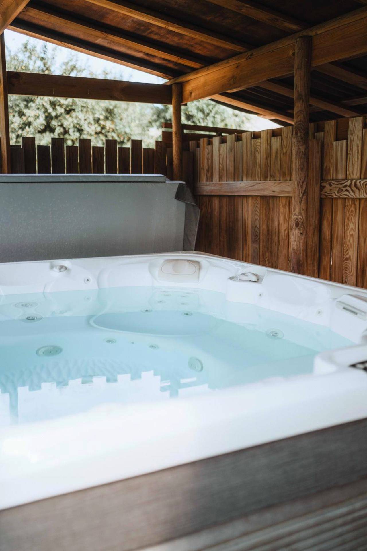 Photo du logement - Chalet SALOON avec SPA privatif - Le Biot