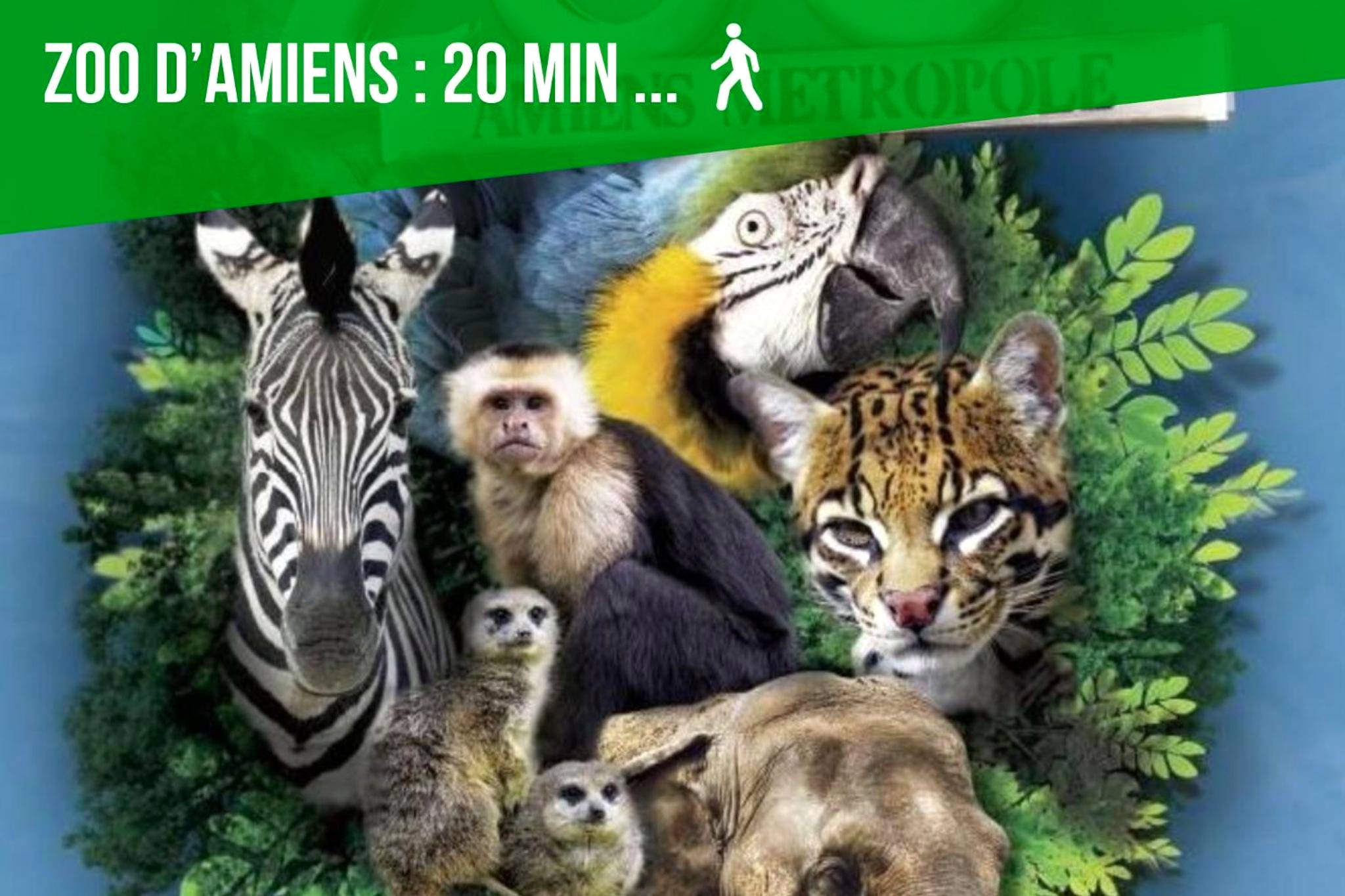 Photo du logement - Le chalet romantique, SPA, Écran cinéma, Lit king size, day use, 10 min centre