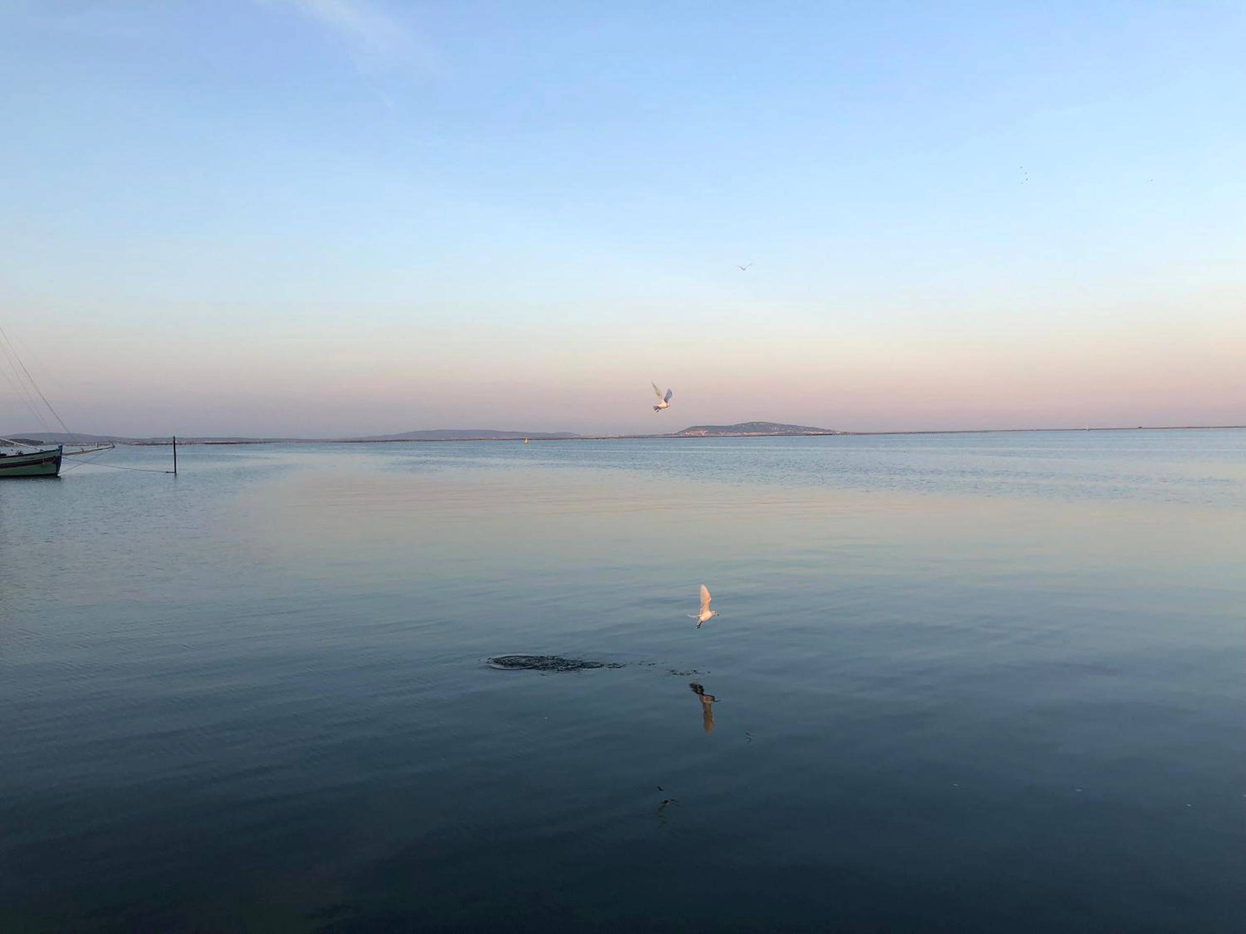 Photo du logement - La chambre des Onglous