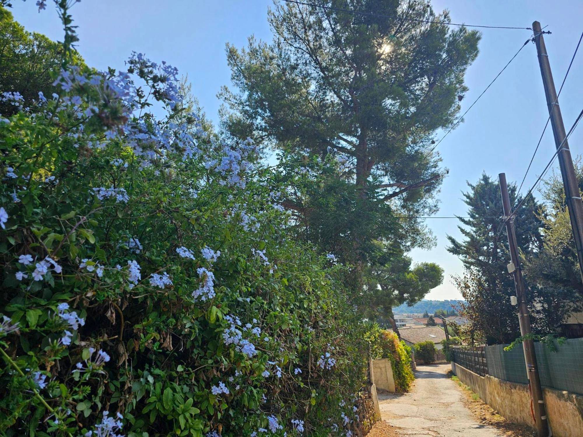 Photo du logement - Suite jacuzzi privé neuf Les Charmettes - La Ciotat