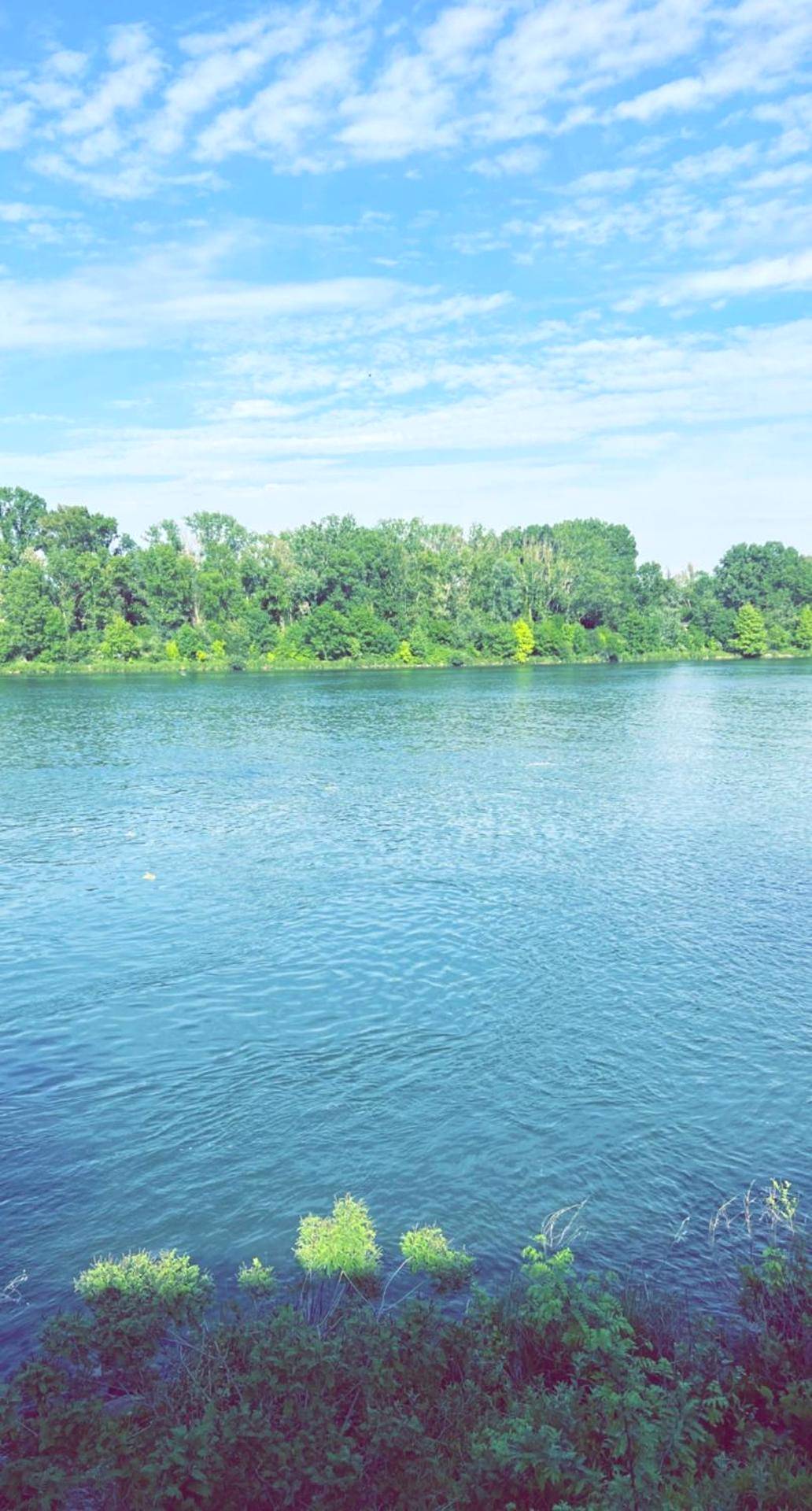 Vue sur le fleuve et la végétation - Chic & Jacuzzi