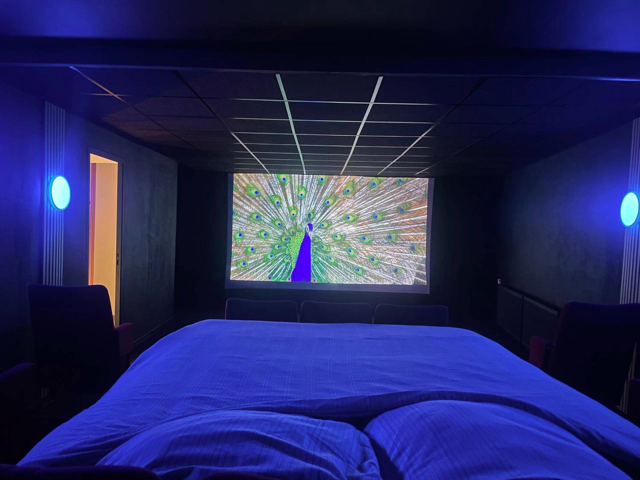 Cinéma privé avec grand lit et écran géant - Love Room Issoudun - Cinema Paradiso - Appartement de charme avec Sauna,...