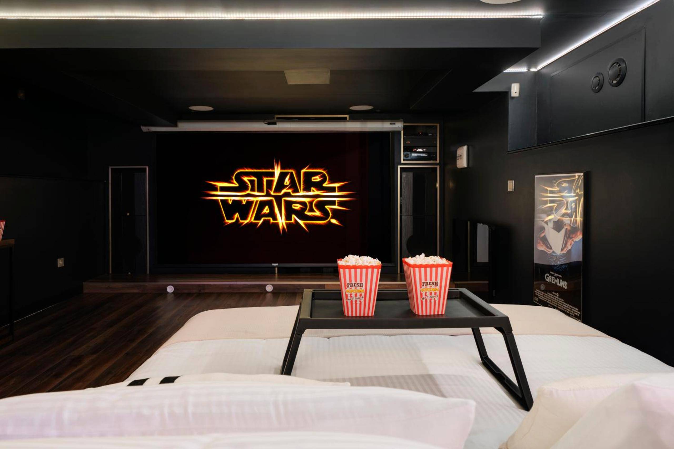 Photo du logement - Cinema Room haut de gamme avec balnéothérapie