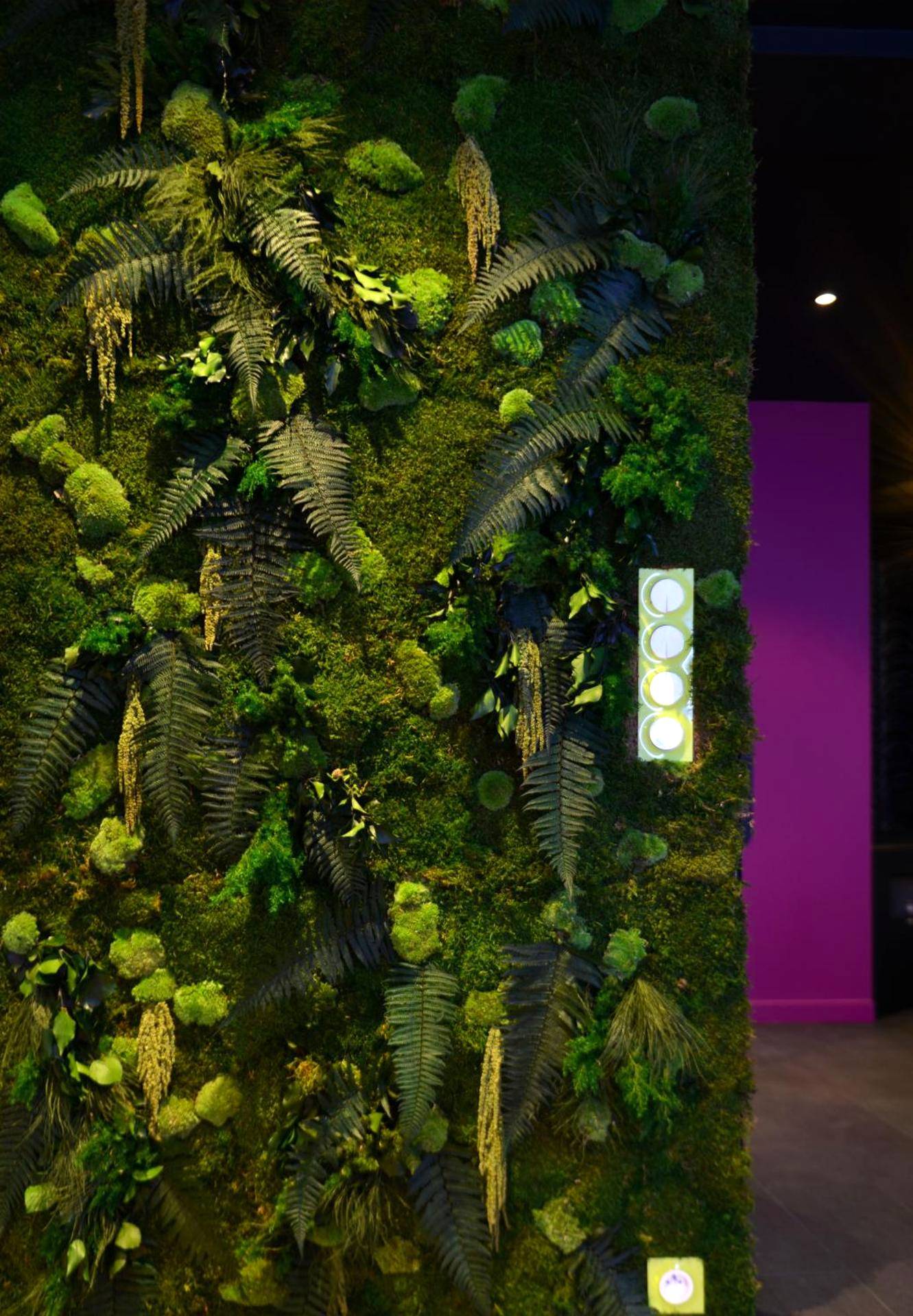 Photo du logement - Le Clair Obscur