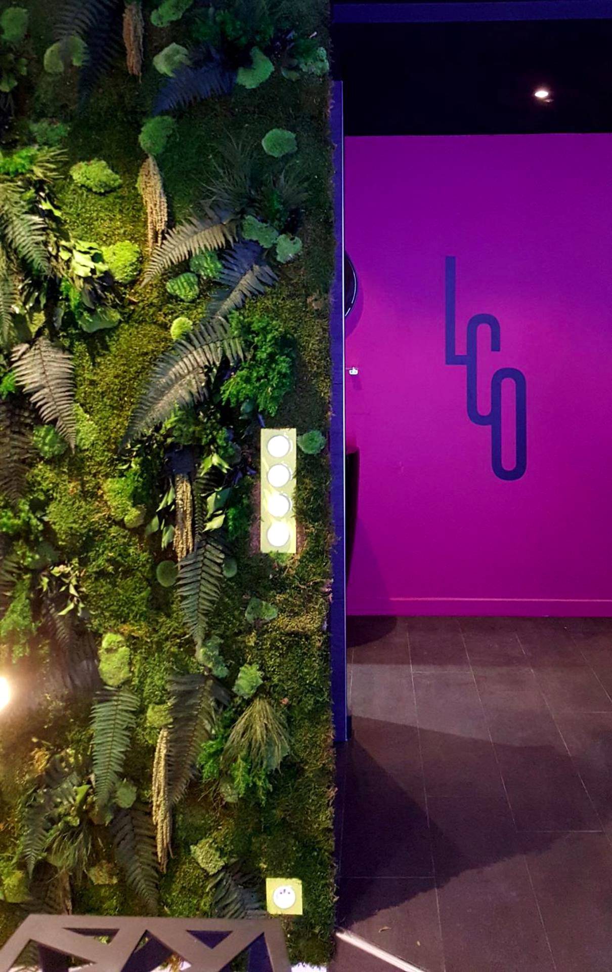 Photo du logement - Le Clair Obscur - Nantes