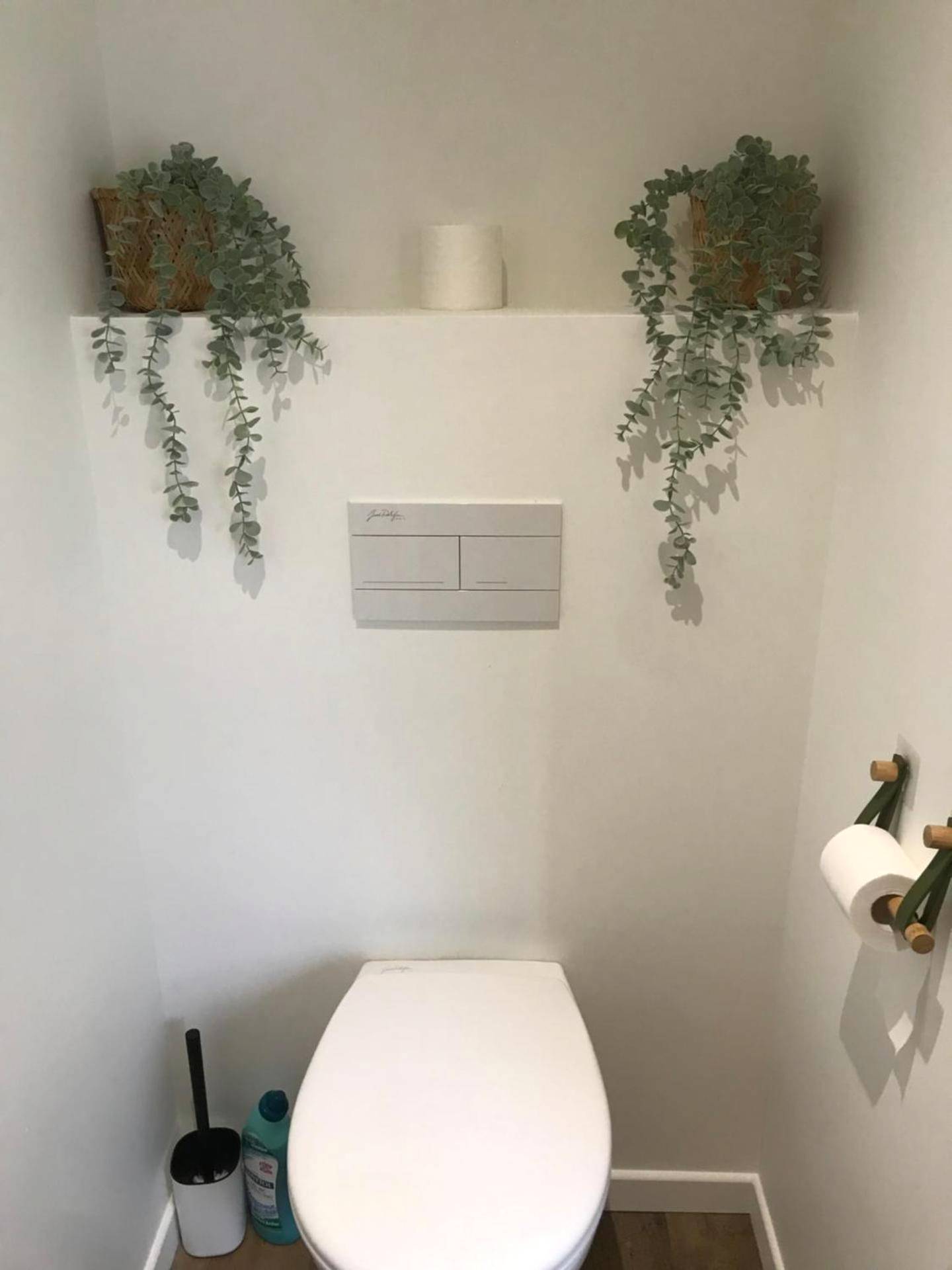 Toilettes avec décoration végétale - Le Cocon du bourg d’Agon