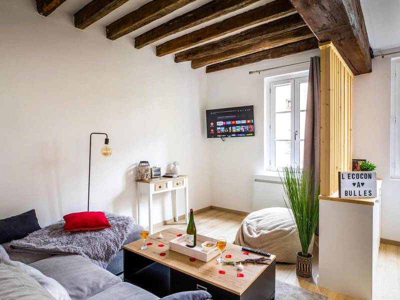 Photo du logement - Cocon à Bulles Chic vue Cathédrale avec Spa - jacuzzi - Chartres