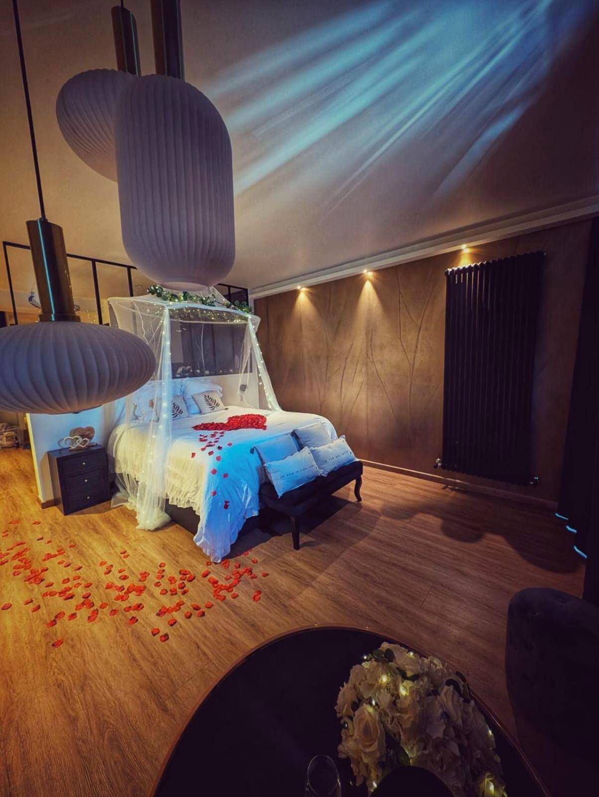 Photo du logement - Cocon Chic Aix les bains - Tresserve