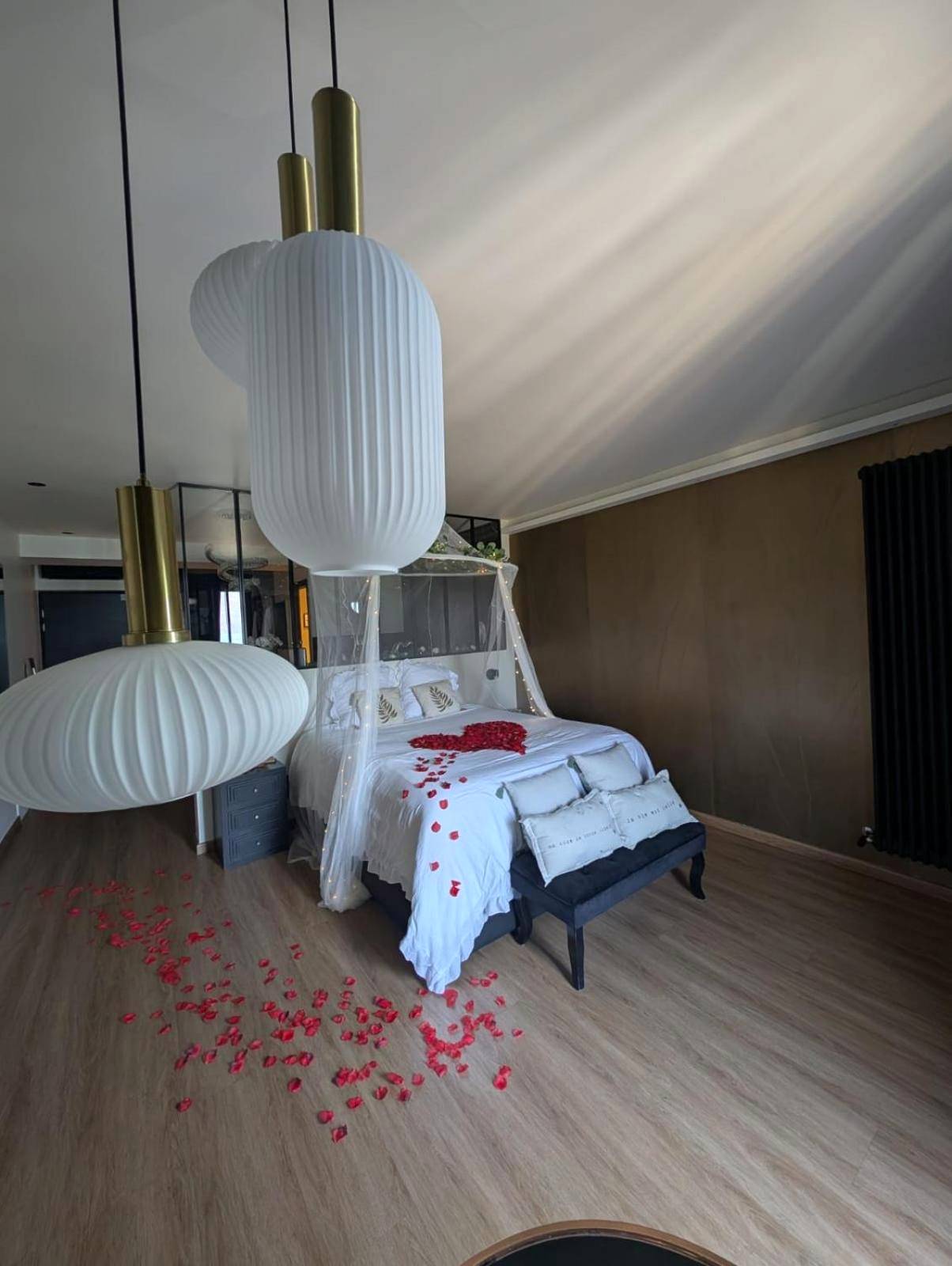 Photo du logement - Cocon Chic Aix les bains