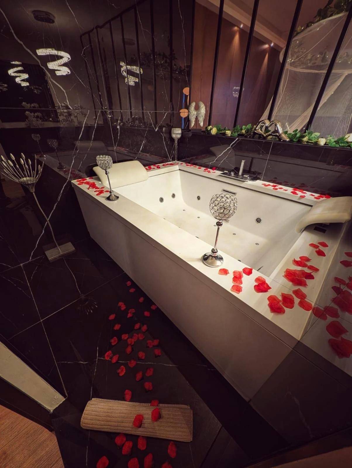 Photo du logement - Cocon Chic Aix les bains