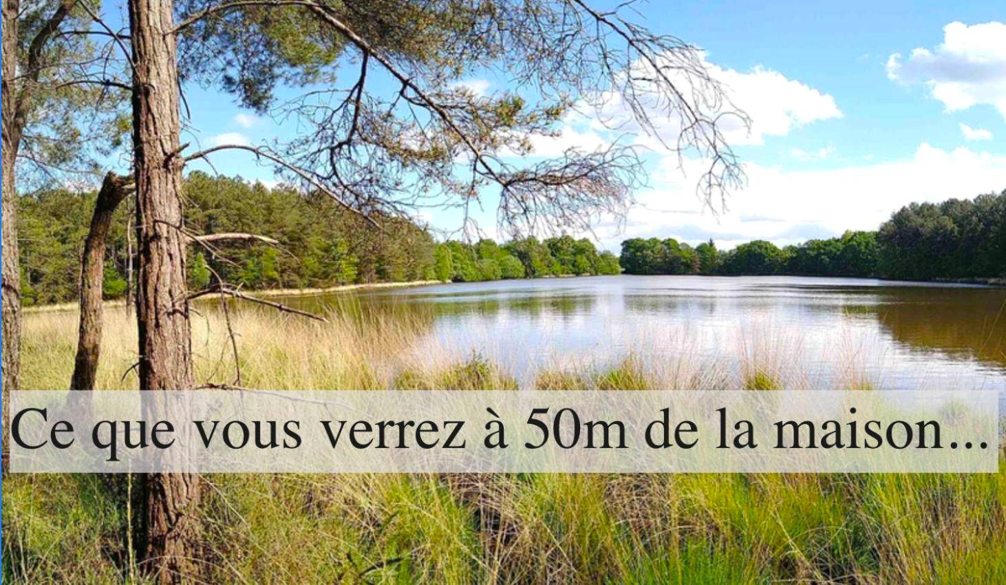 Photo du logement - Love room proche Rennes Le Cocon Enchanteur