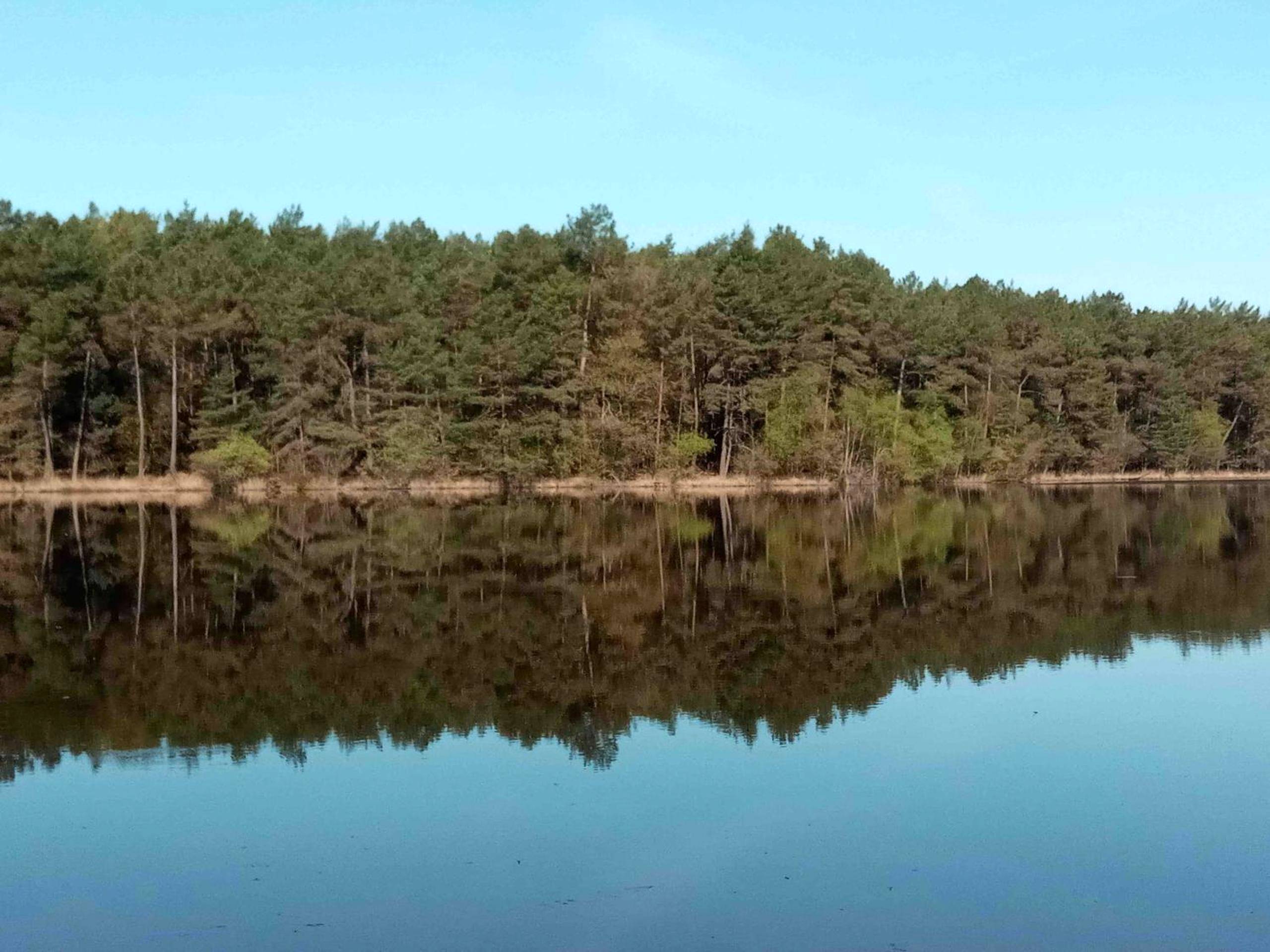 Photo du logement - Love room proche Rennes Le Cocon Enchanteur