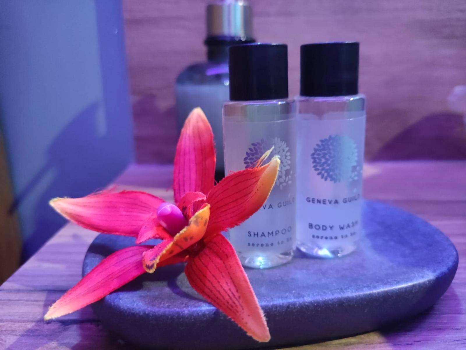 Photo du logement - Cocon d'Evasion**** SPA PRIVATIF et ciels étoilés