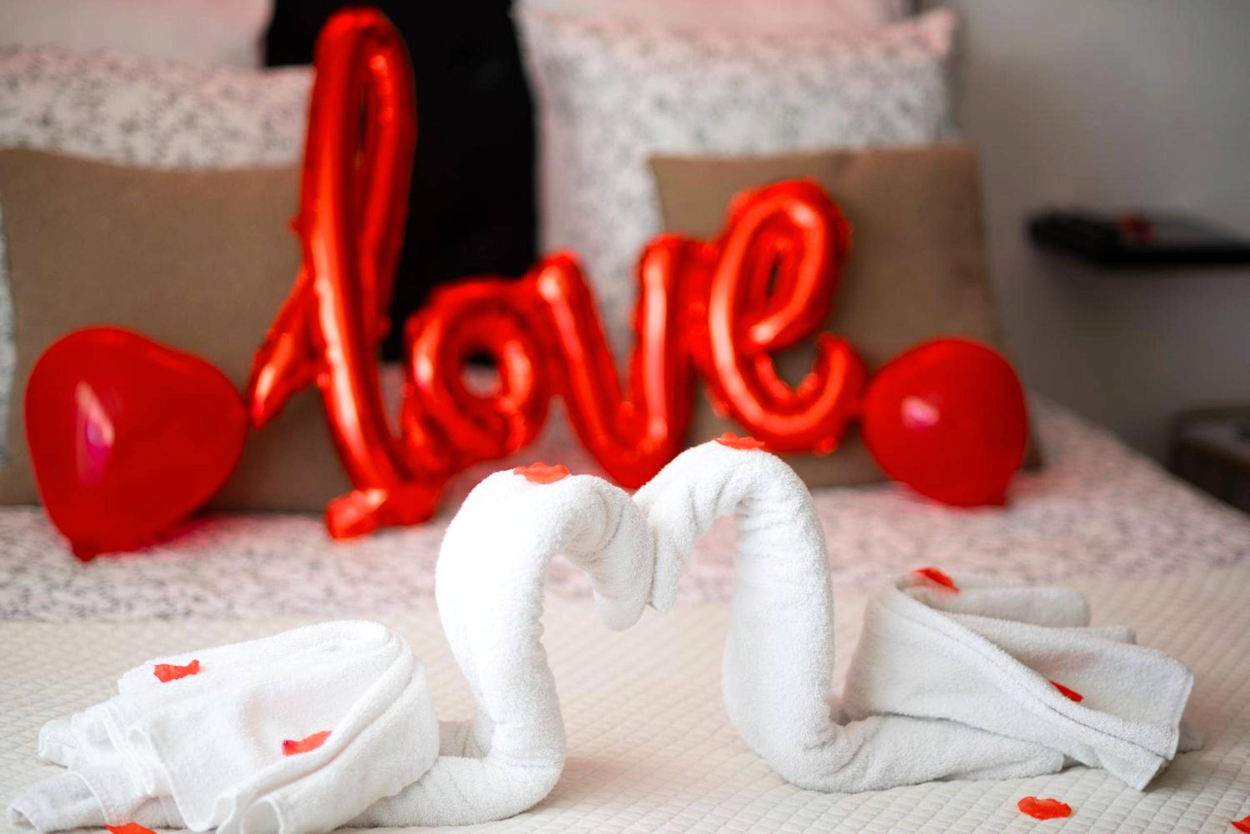 Photo du logement - LE COCON - Jacuzzi & Sauna privés By SweetDreams